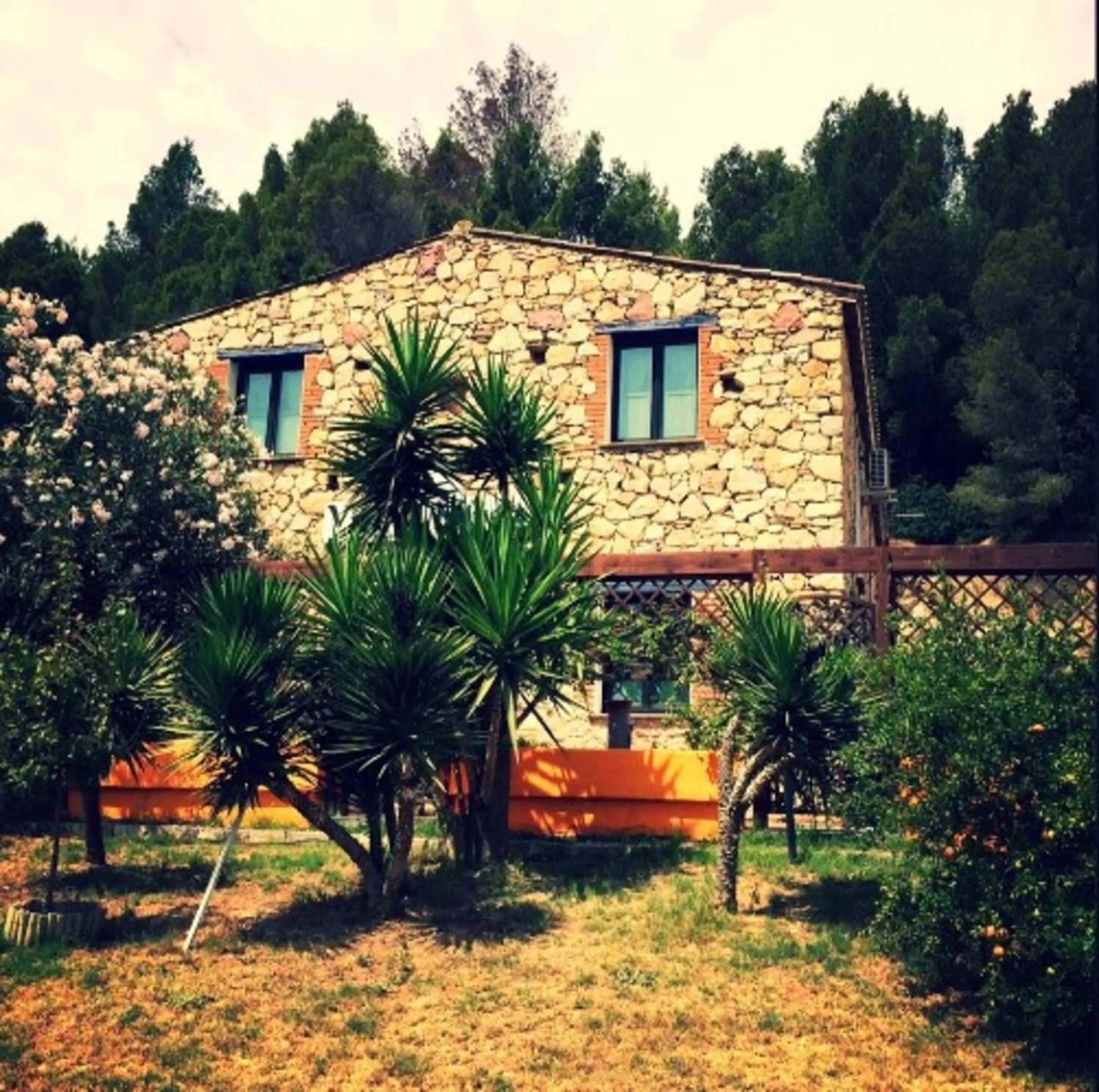 Property building in Sa Funtana