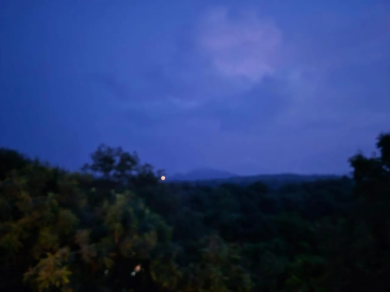 Night in Citrus Prime Hill Queen Resort