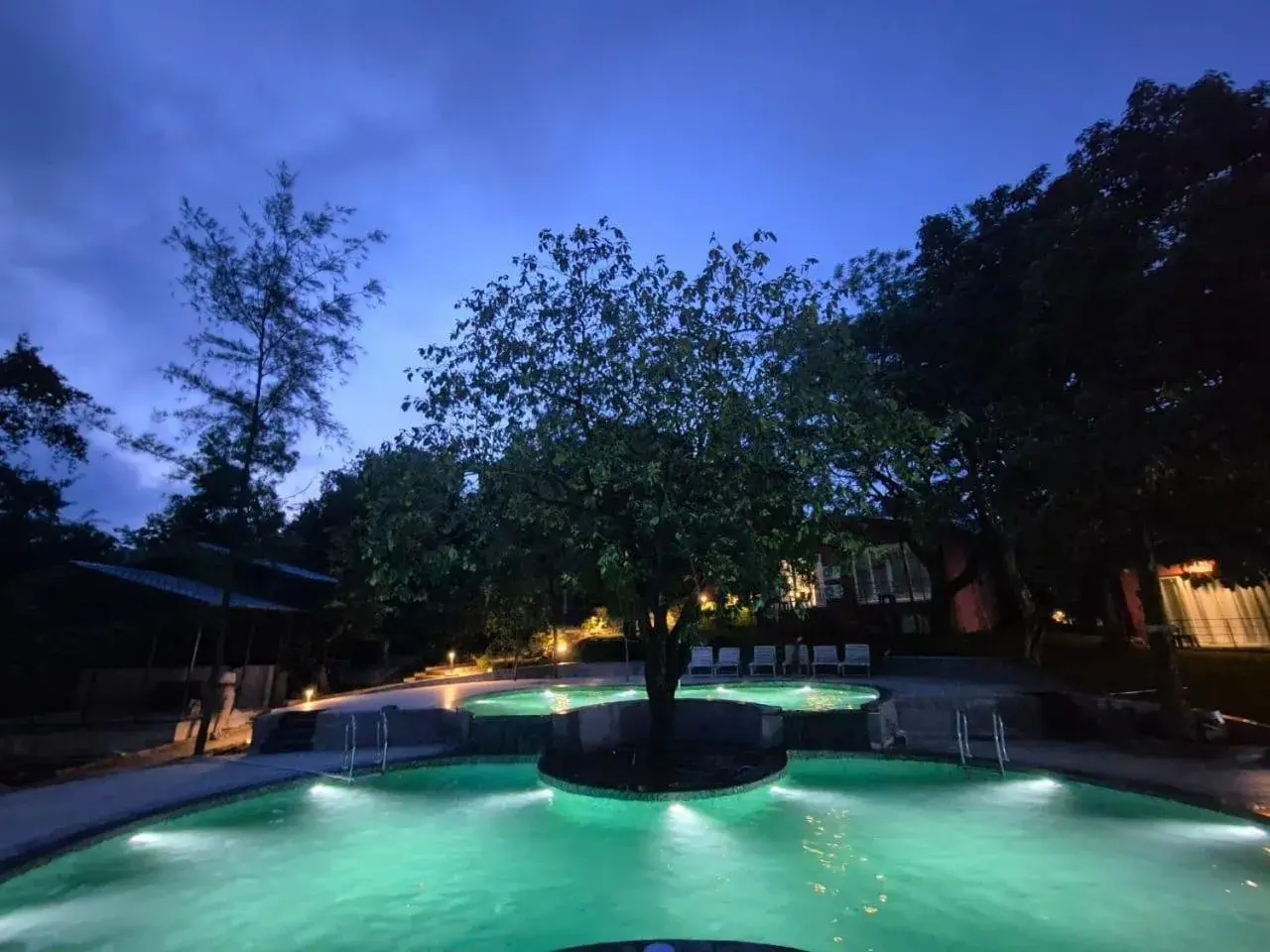 Pool view in Citrus Prime Hill Queen Resort Pool view in Citrus Prime Hill Queen Resort