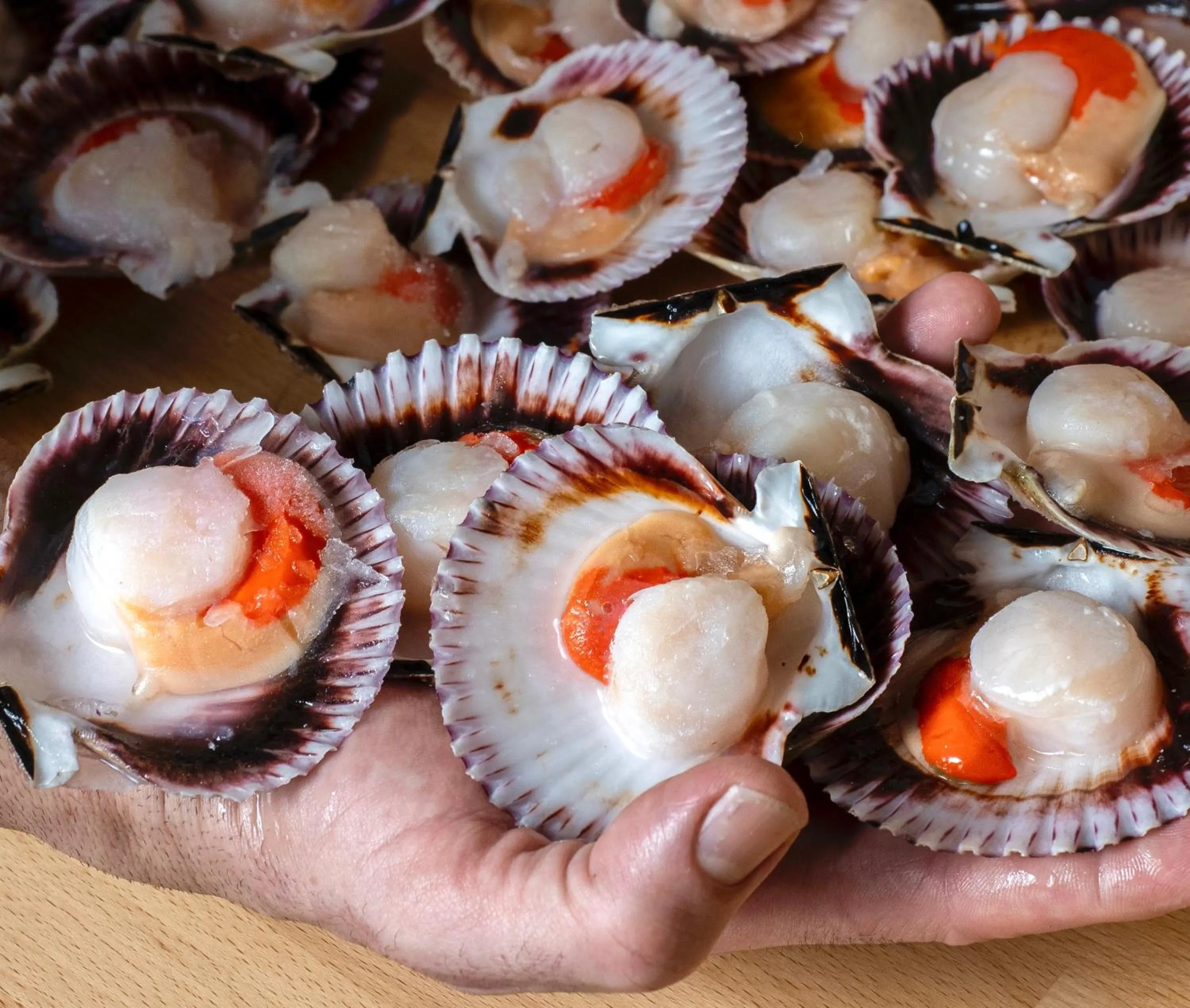 Lounge or bar in Hotel Ciudad del Sol