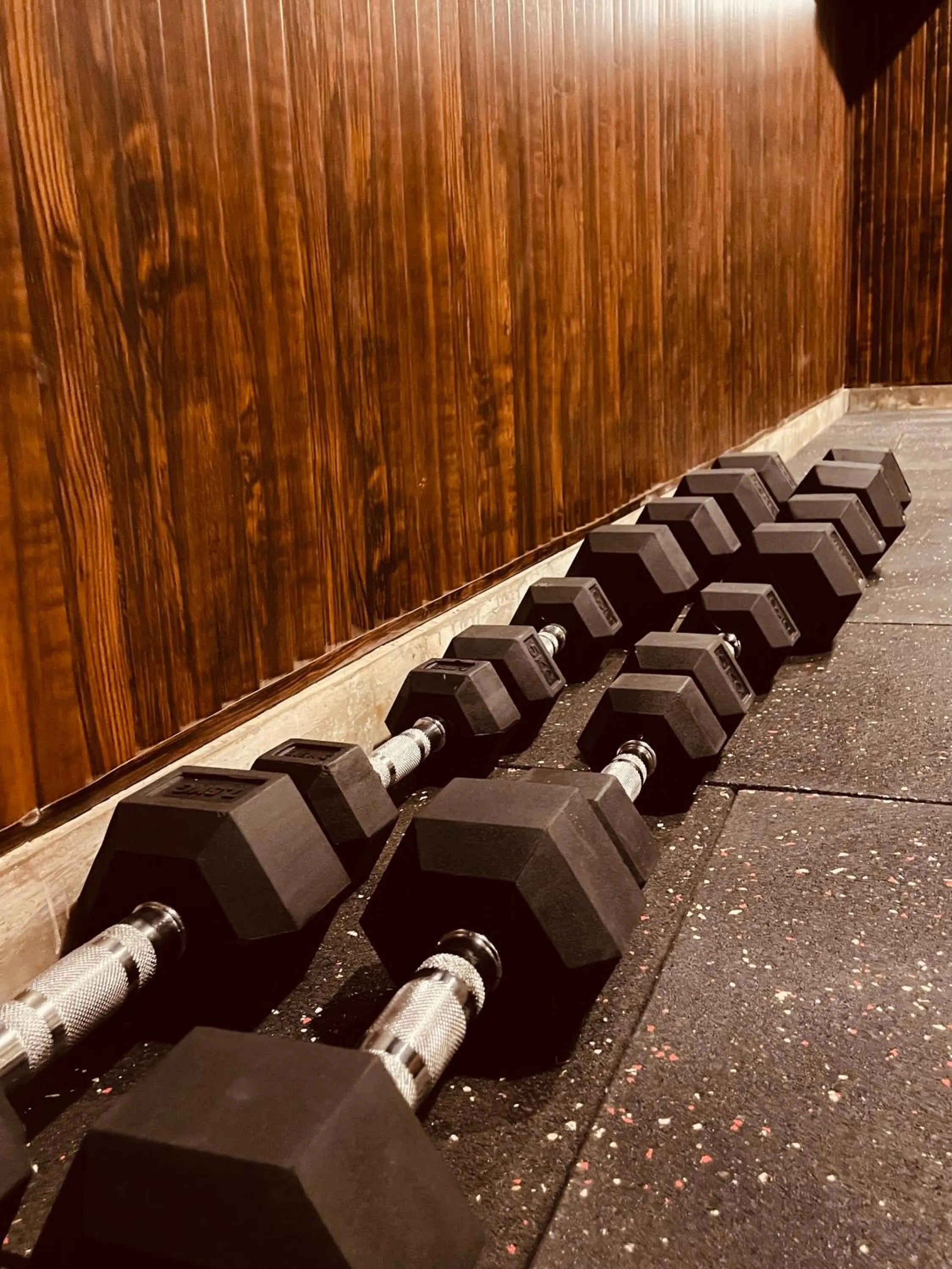 Fitness centre/facilities in Firebrick Boutique Residences - AMETHYST HOUSE