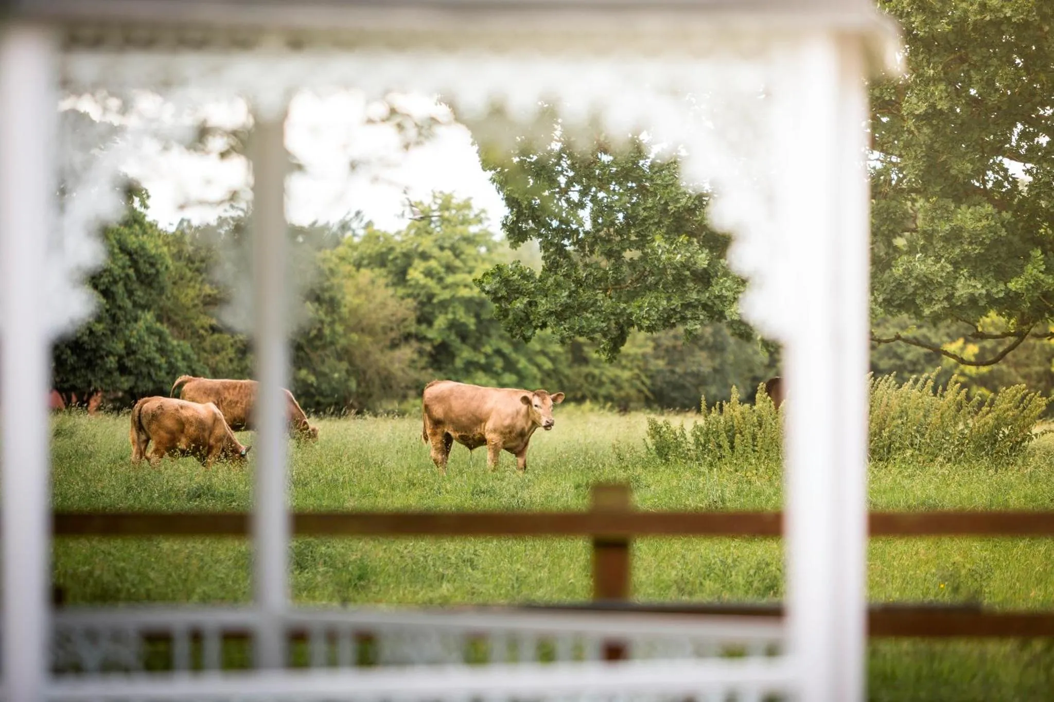 Garden in WorldHotels Distinctive Woughton House Hotel