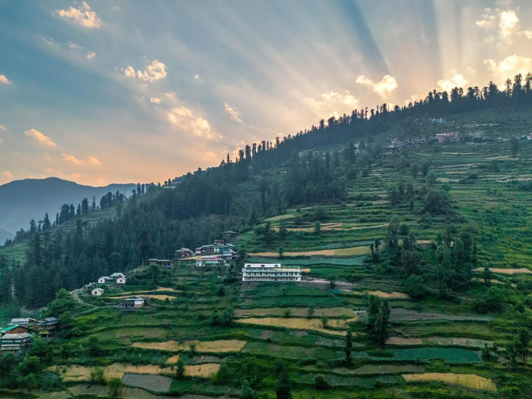 Property building in Moustache Shoja, Jibhi Property building in Moustache Shoja, Jibhi