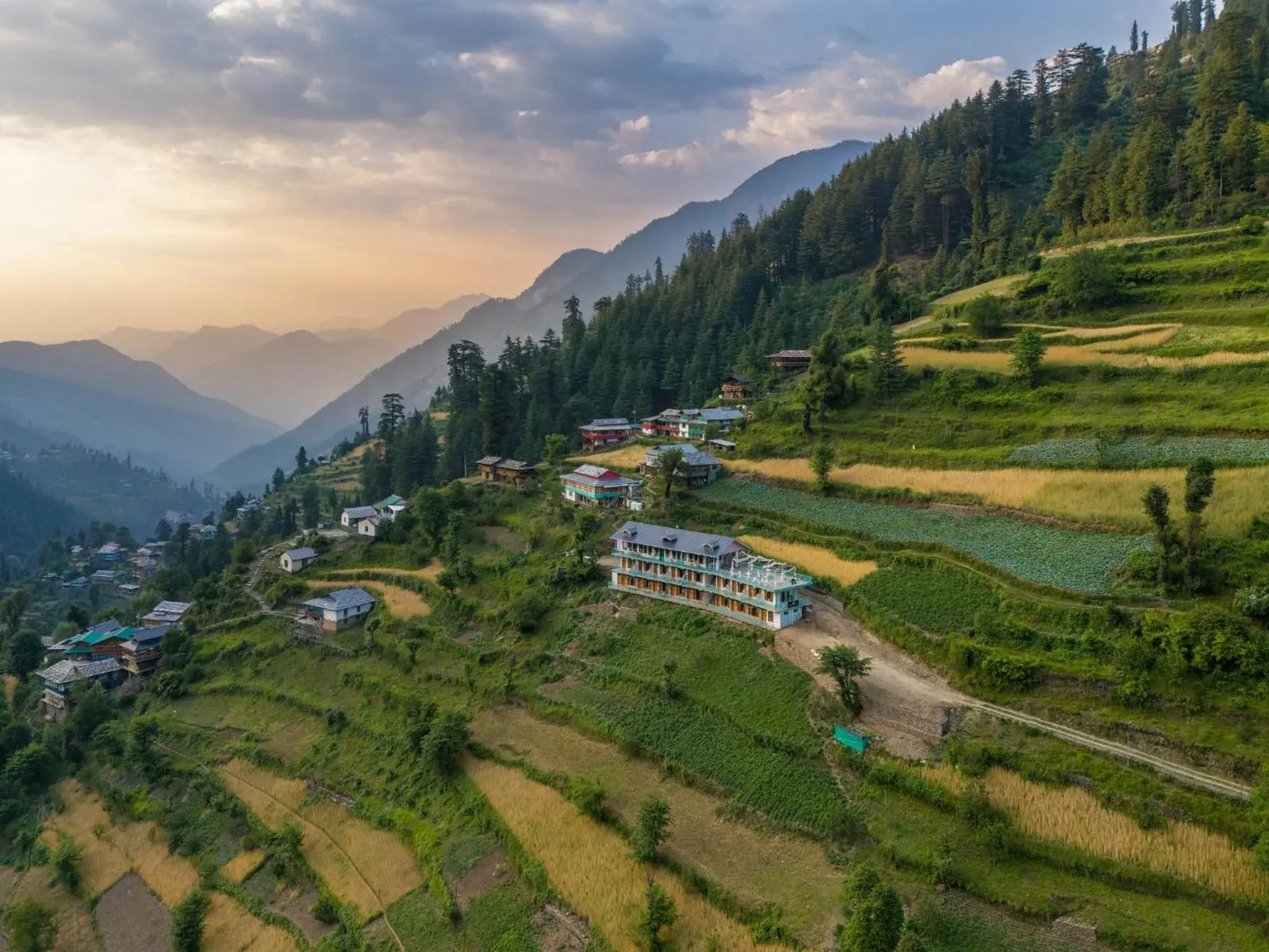 Property building in Moustache Shoja, Jibhi Property building in Moustache Shoja, Jibhi