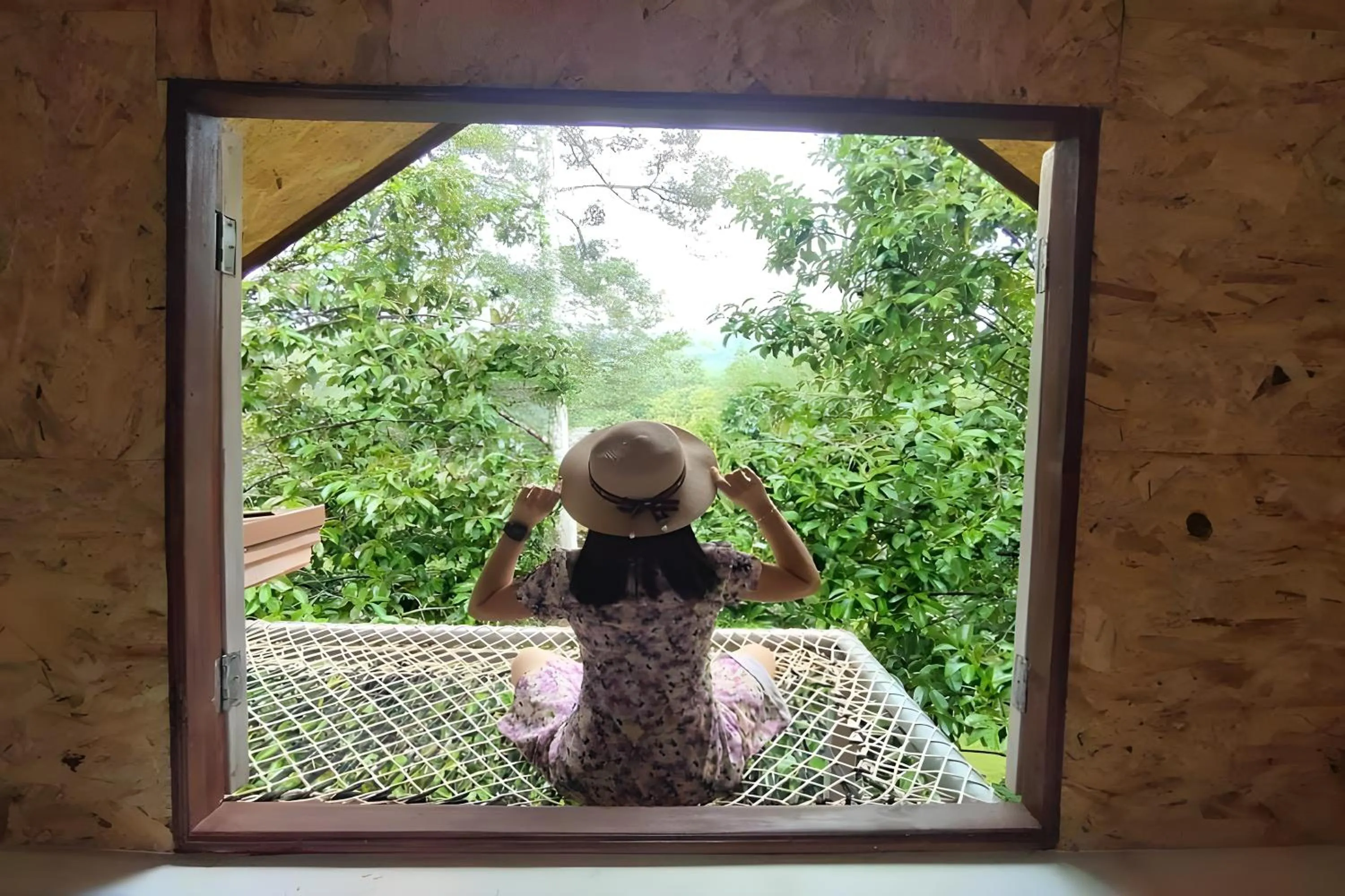 Garden view in Rat Min House