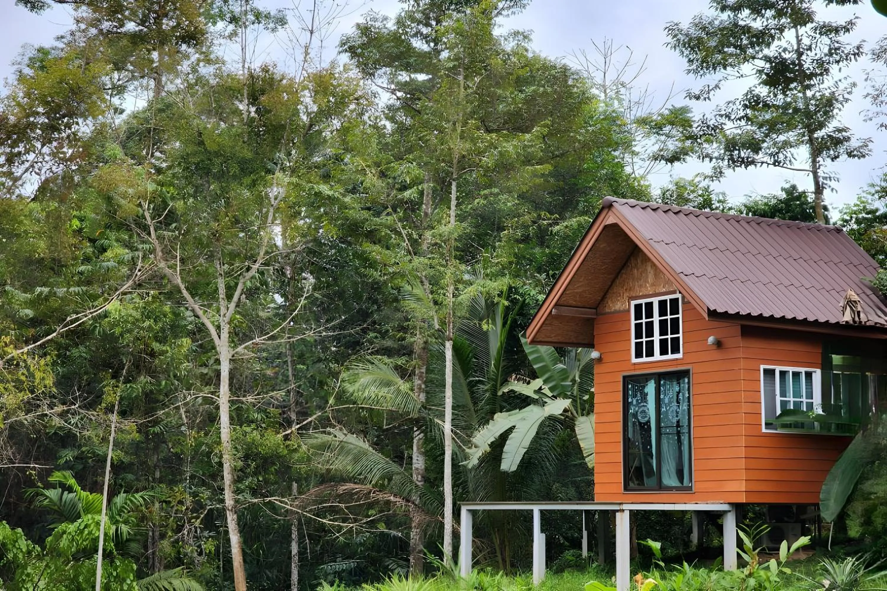 Property building in Rat Min House