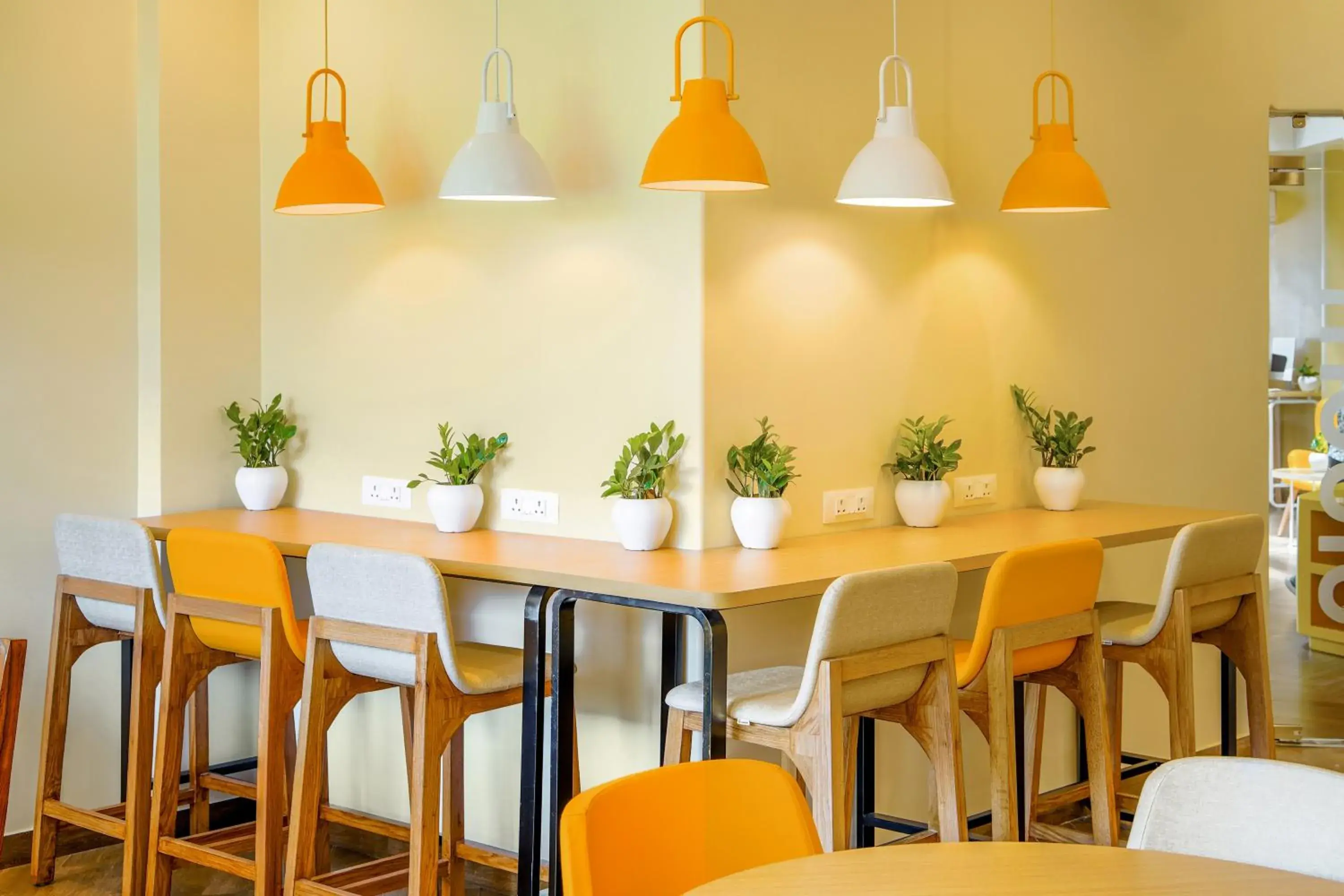 Restaurant/places to eat in Bloom Hotel - Katra Restaurant/places to eat in Bloom Hotel - Katra