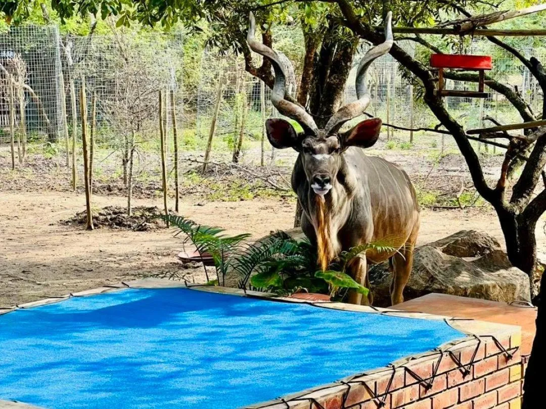 Natural landscape in Zaganaga Kruger Lodge