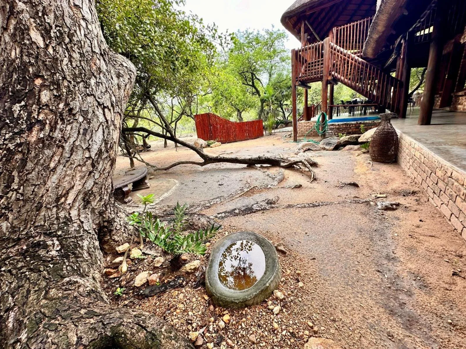 Garden in Zaganaga Kruger Lodge