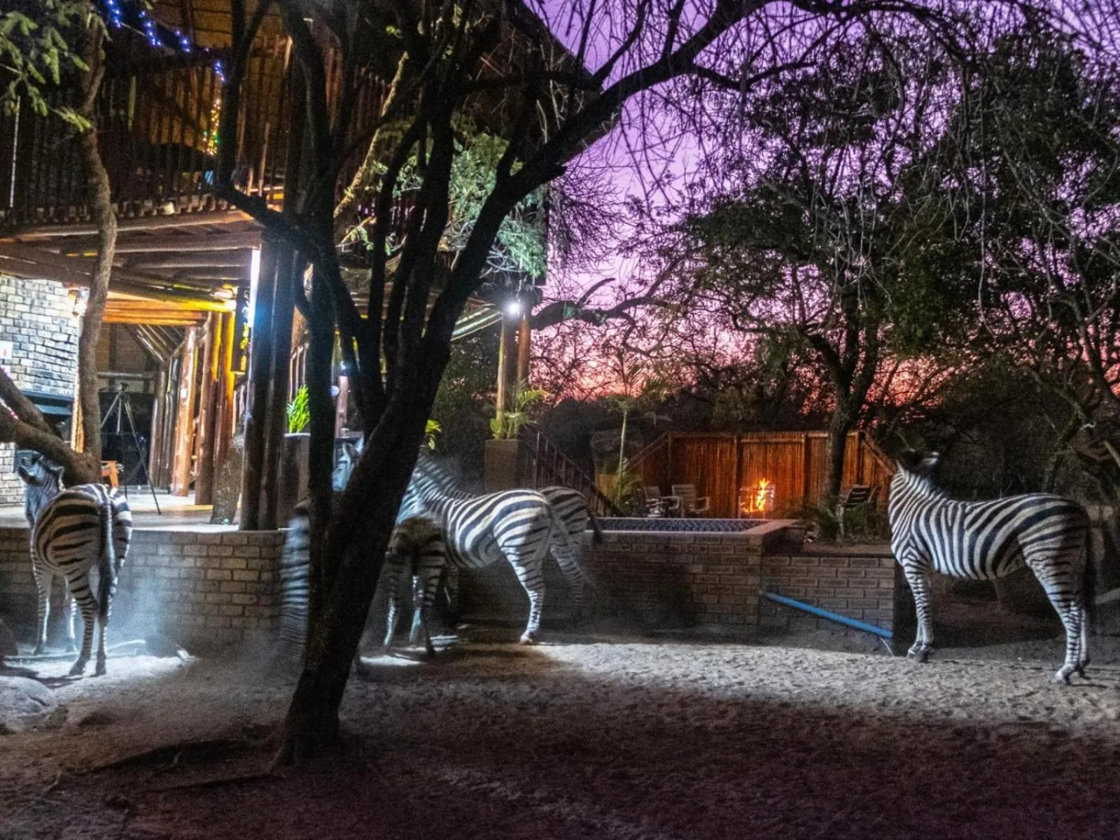 Natural landscape in Zaganaga Kruger Lodge