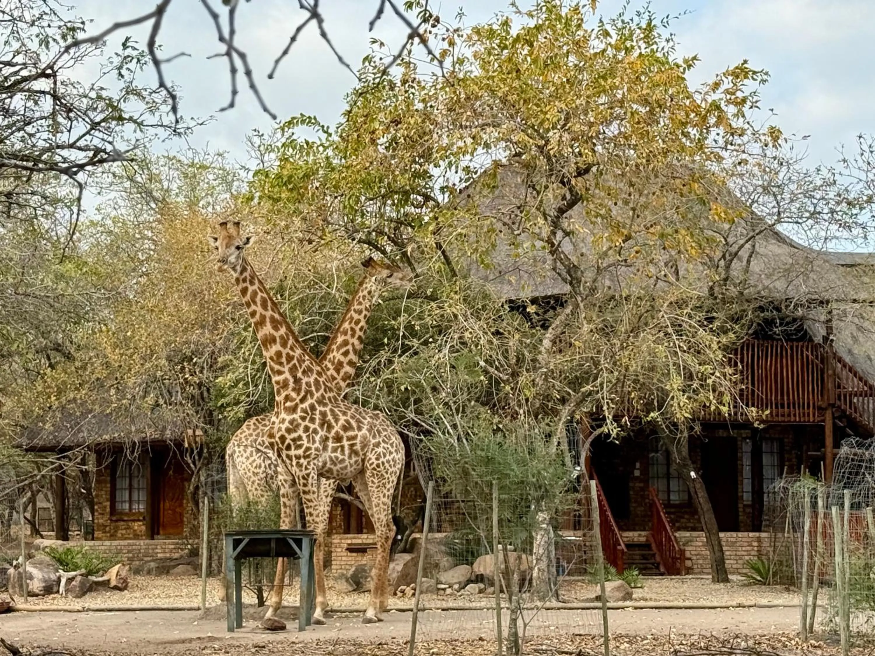 Property building in Zaganaga Kruger Lodge