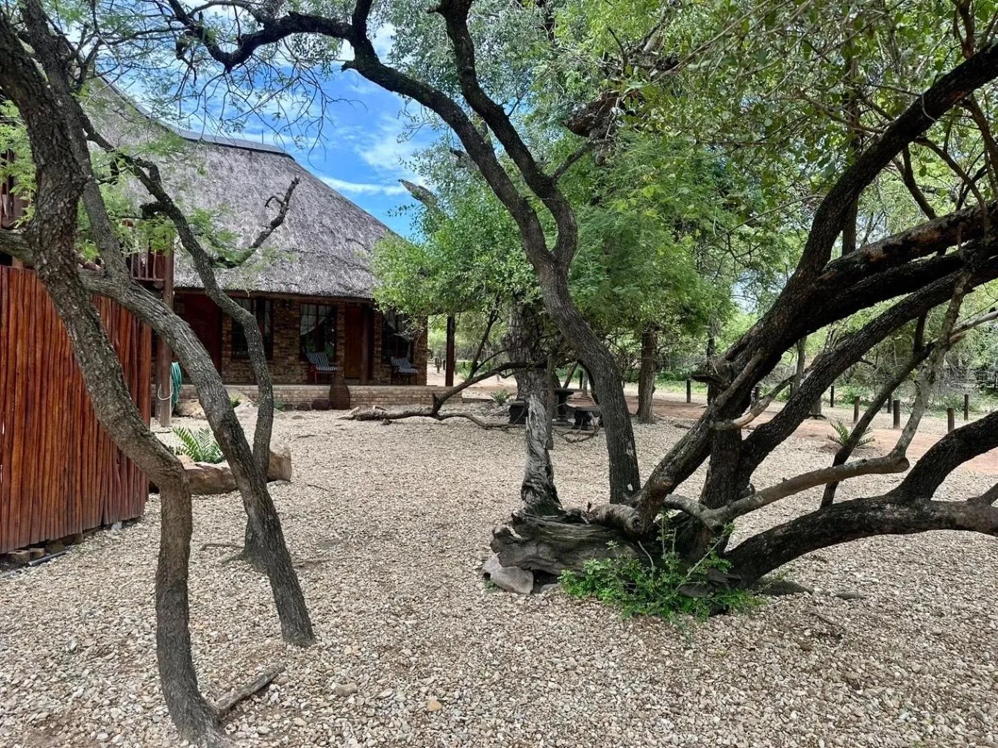 Garden in Zaganaga Kruger Lodge