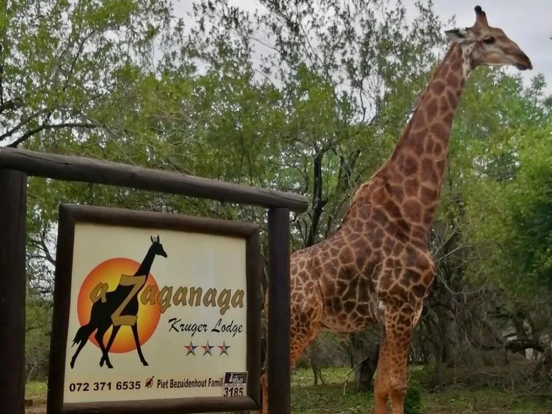 Facade/entrance in Zaganaga Kruger Lodge