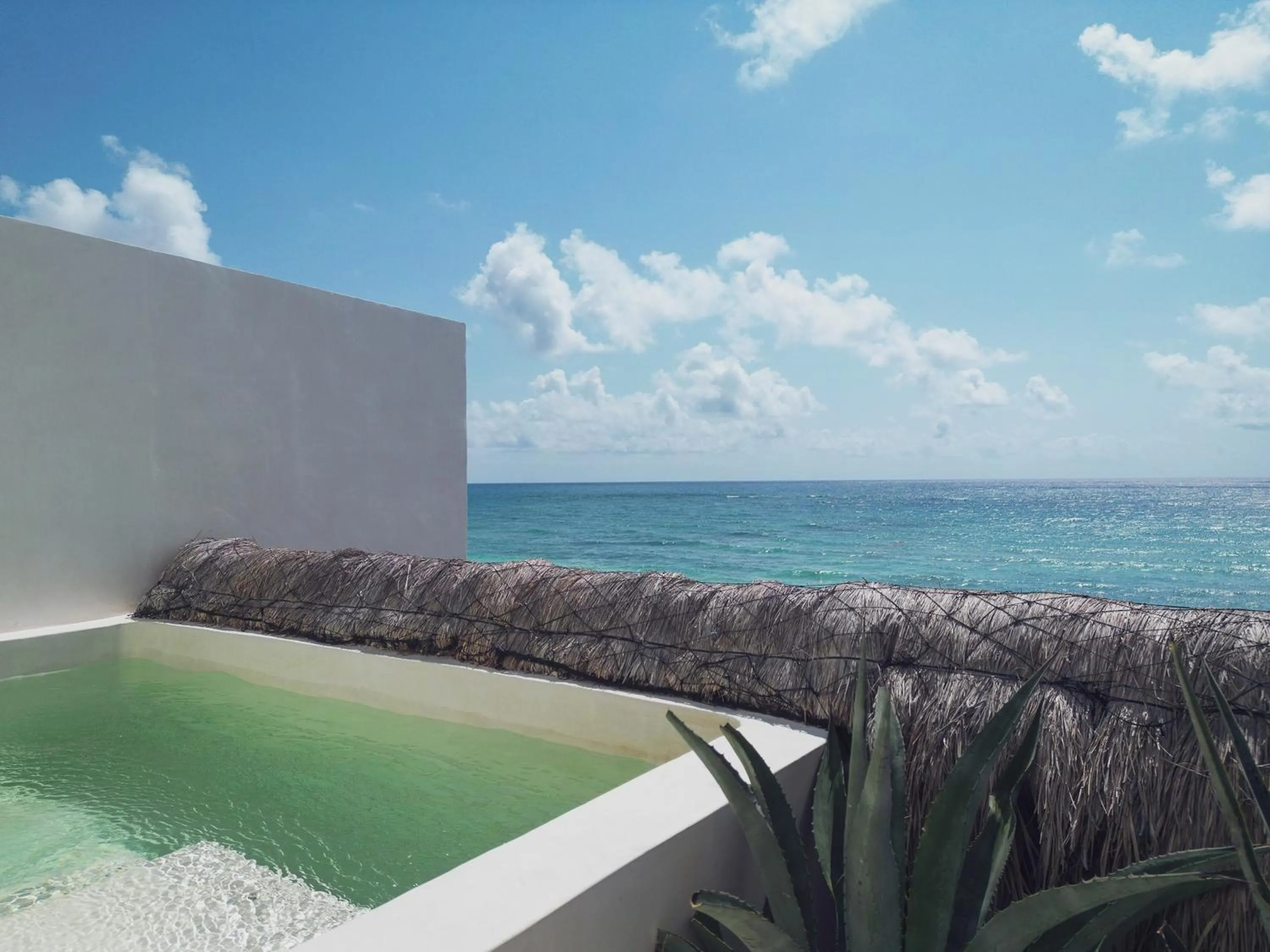 Natural landscape in Suites Panamera