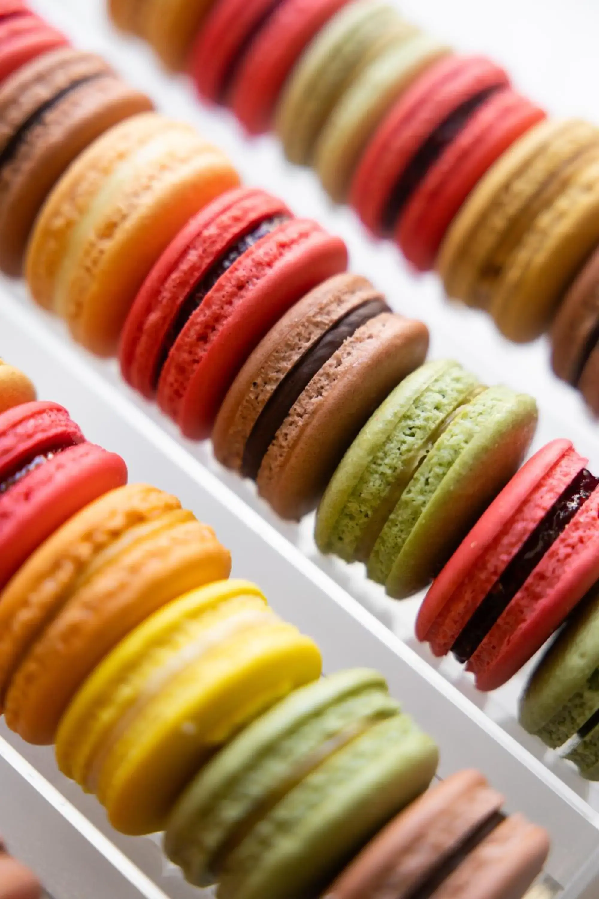 Restaurant/places to eat in Casona Roma Norte Restaurant/places to eat in Casona Roma Norte