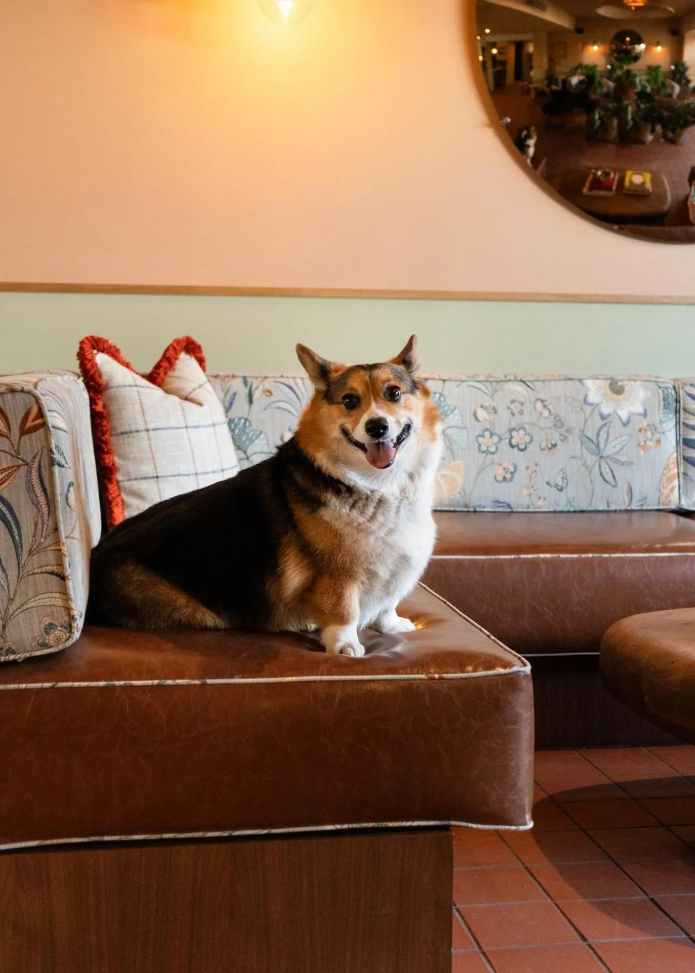 Lobby or reception in ARRIVE Albuquerque