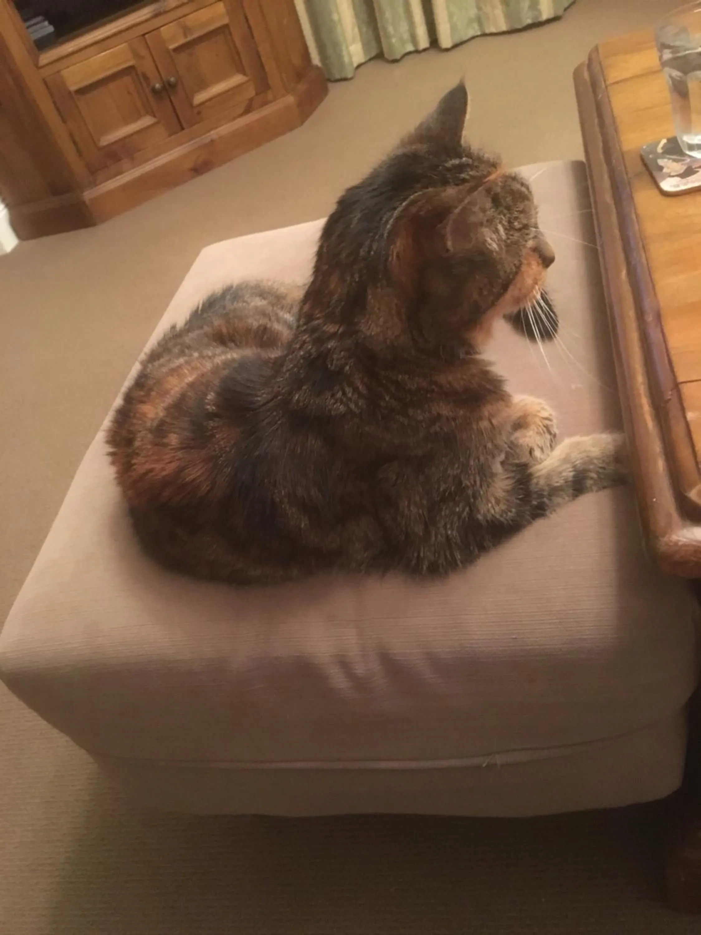 House on the Hill Bed and Breakfast