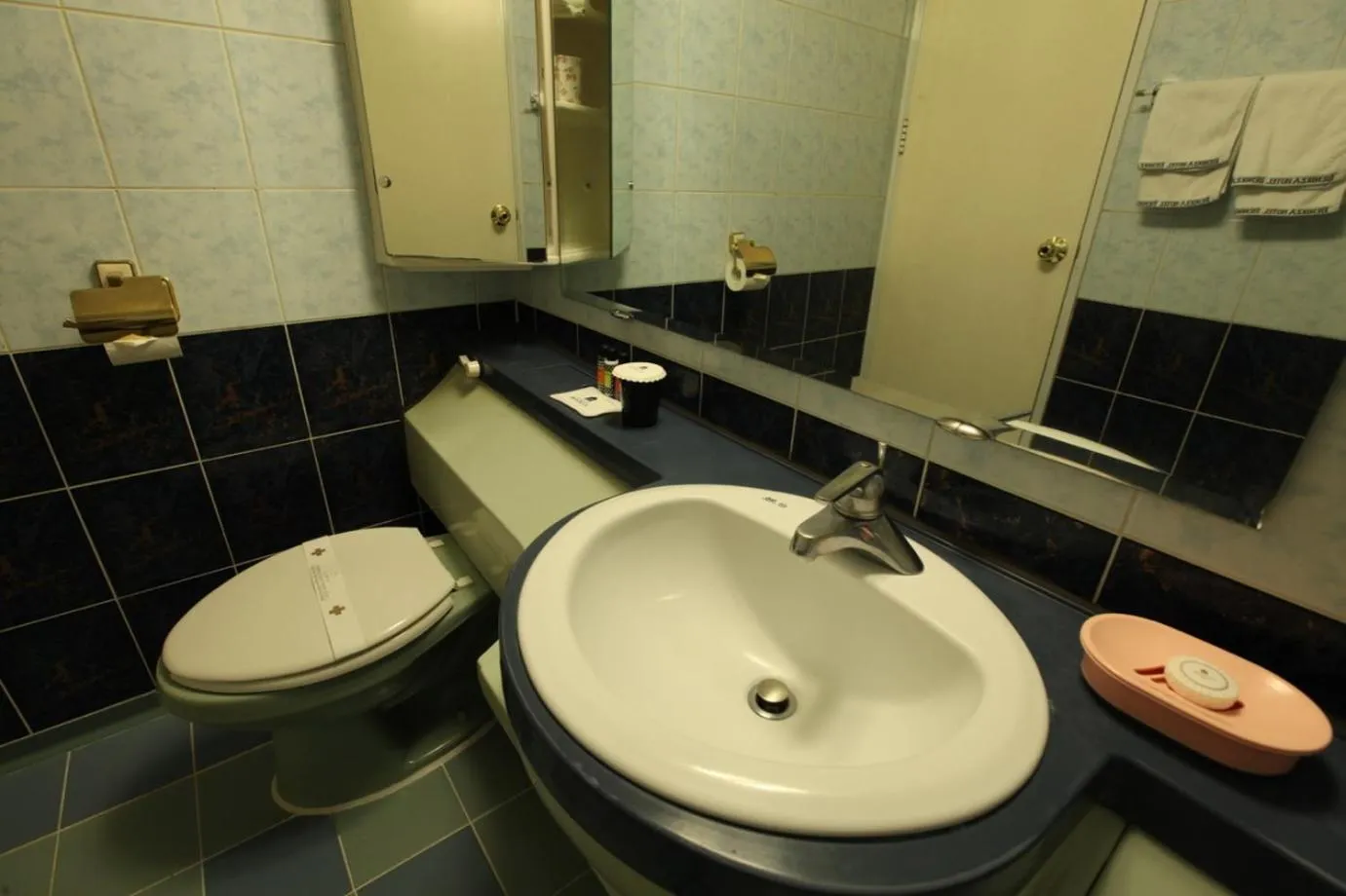 Bathroom in Benikea Hotel Mountain & Ocean Daepohang