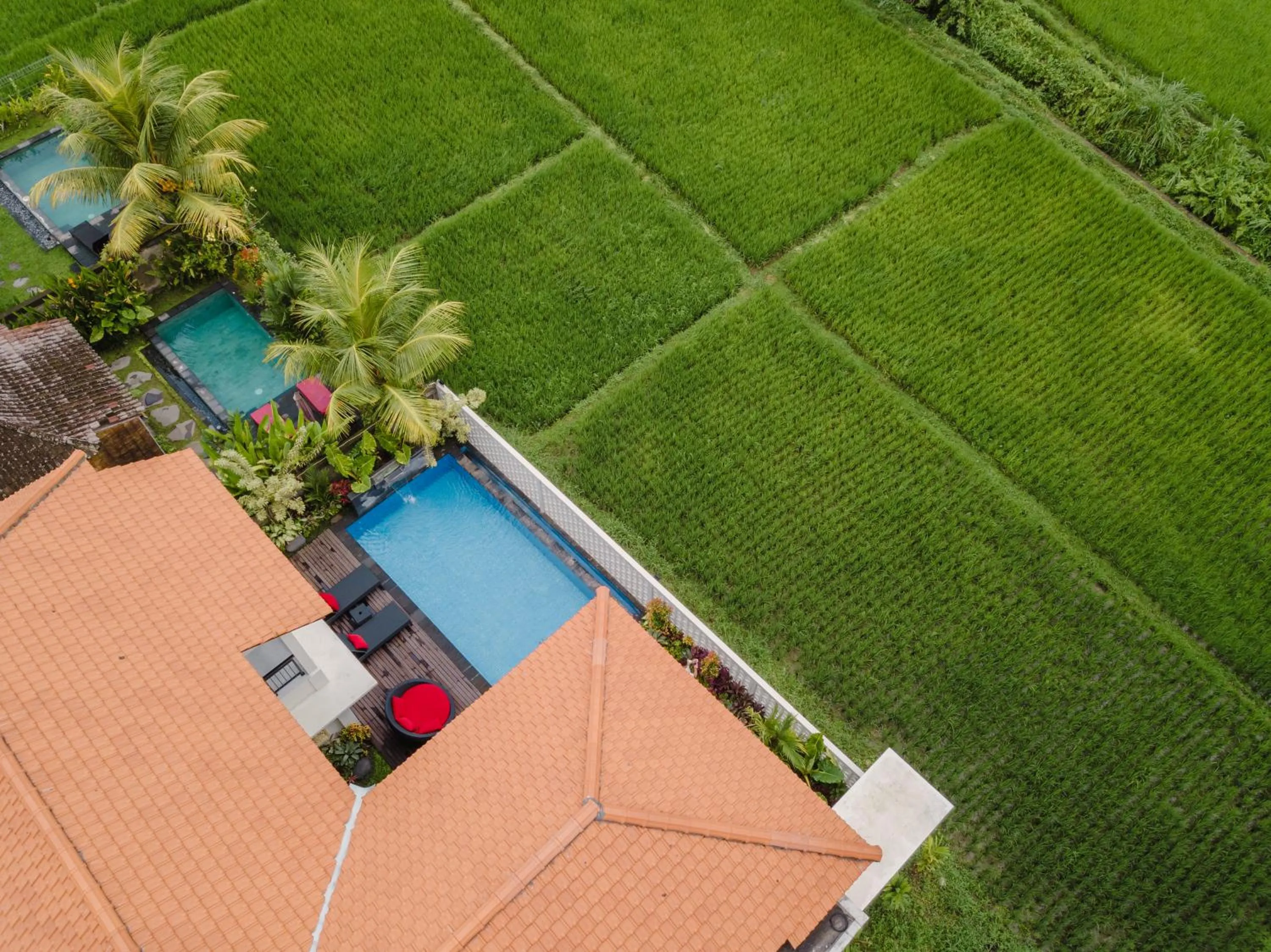 Bird's eye view in Mahadewi Sunset Villa