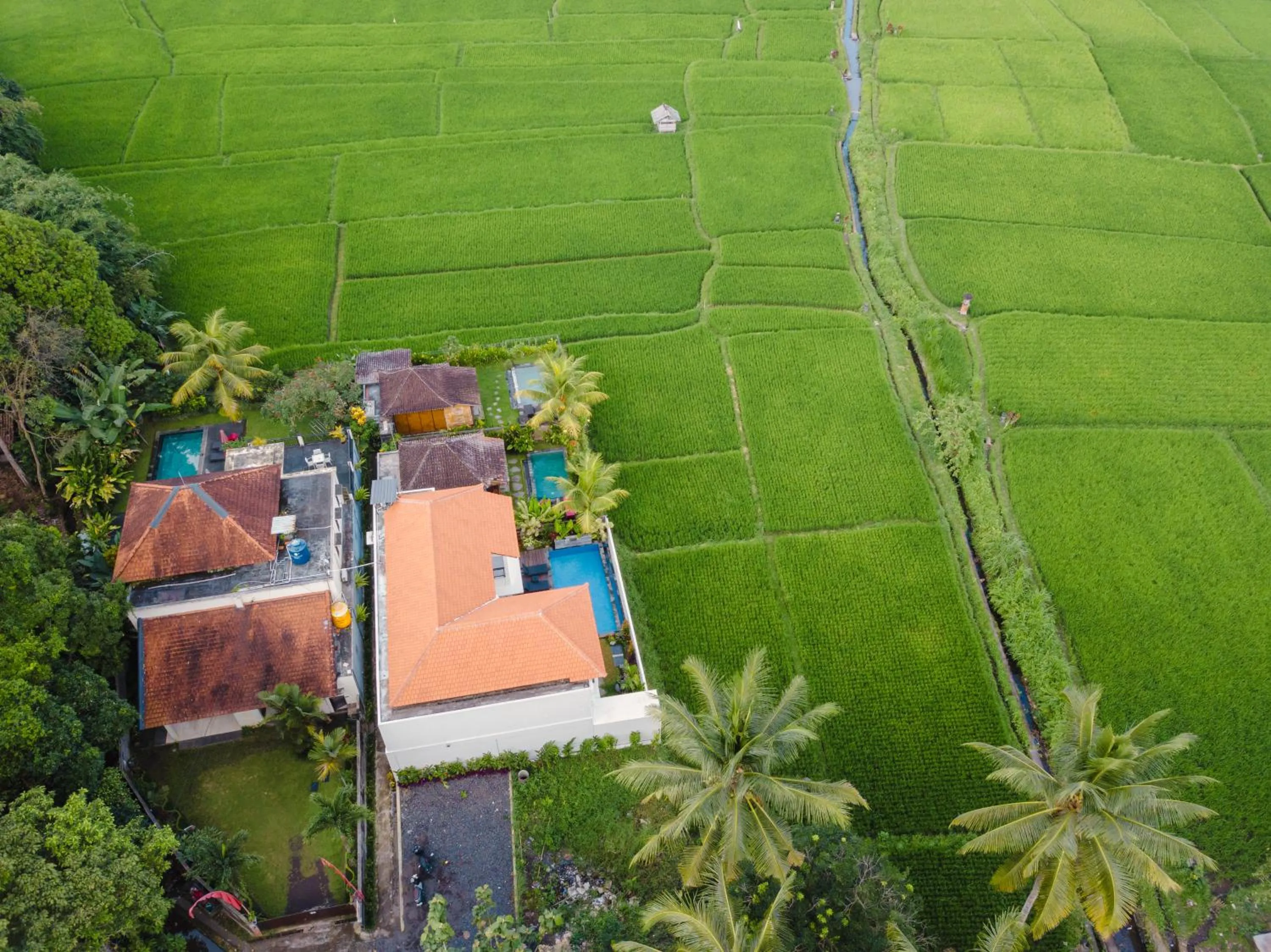 Bird's eye view in Mahadewi Sunset Villa