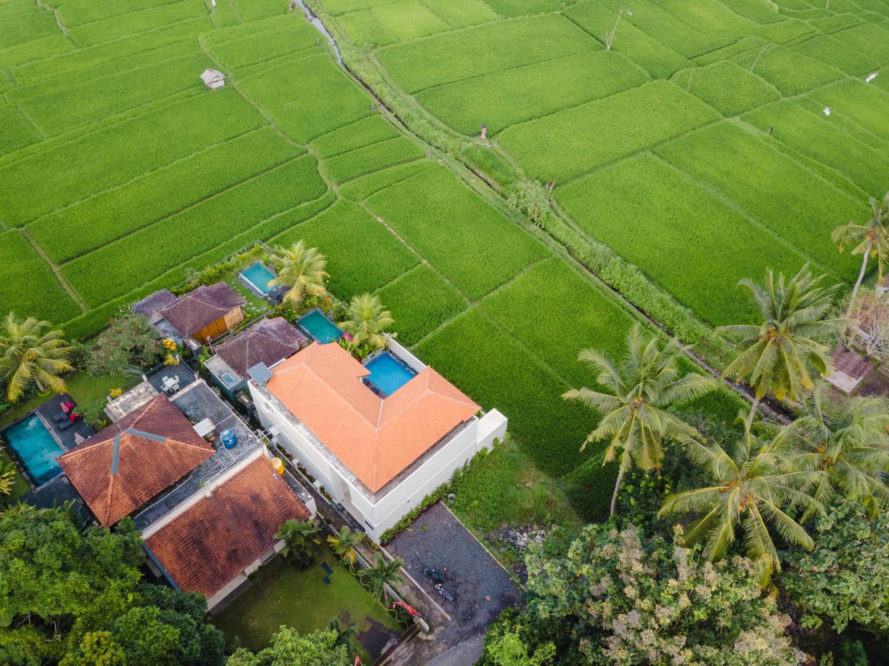 Bird's eye view in Mahadewi Sunset Villa