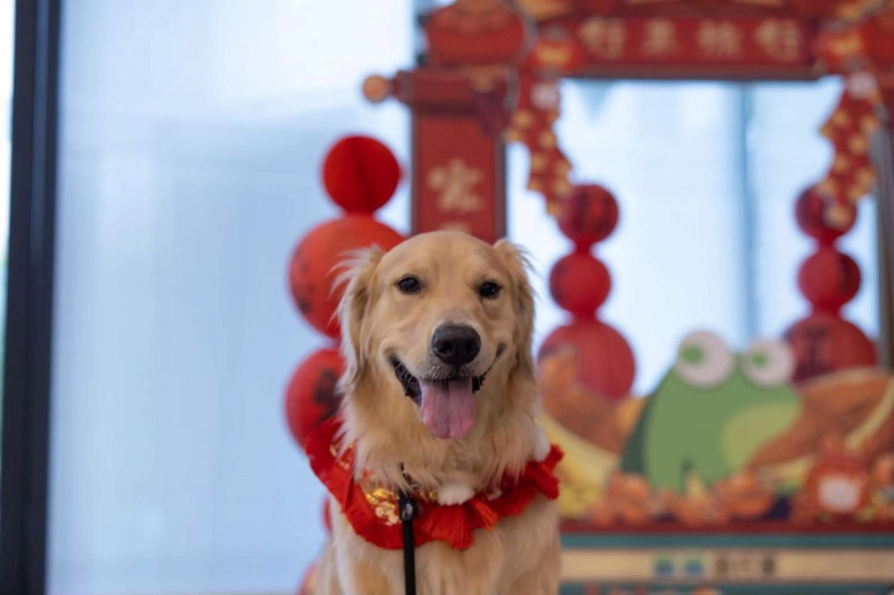 Animals in Blossom House Suzhou