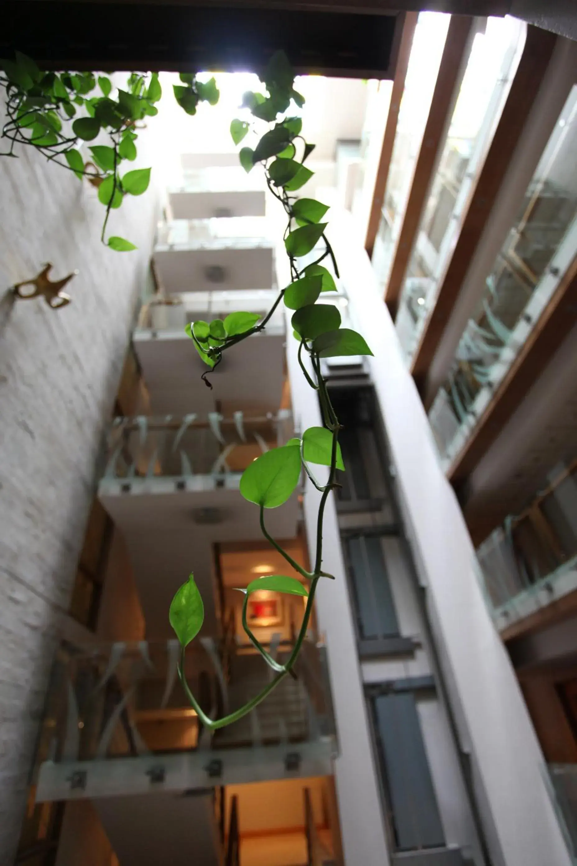 Facade/entrance in Lakeshore Hotel & Apartments Facade/entrance in Lakeshore Hotel & Apartments