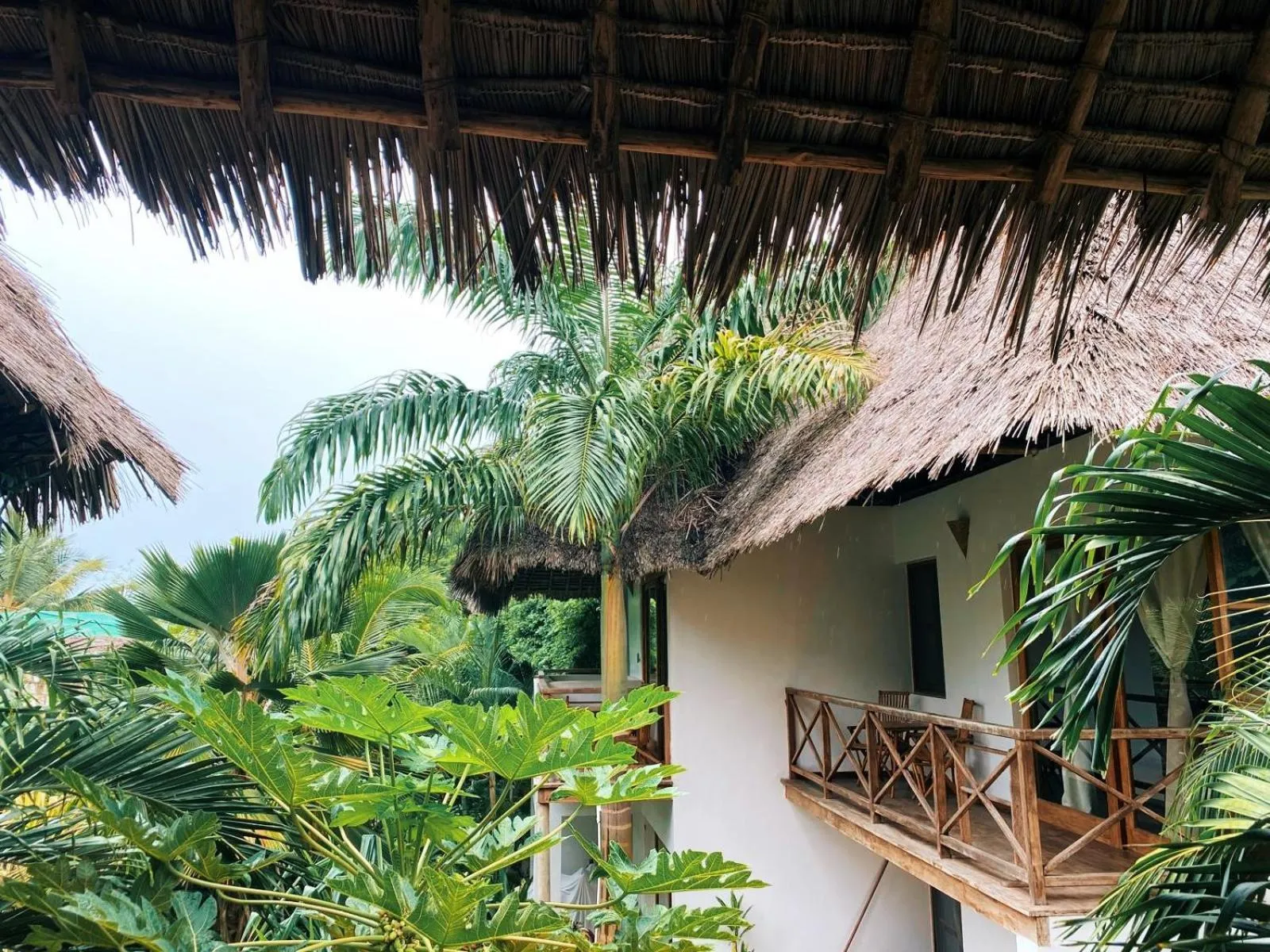 Property building in Maisha Nungwi - Boutique Hotel