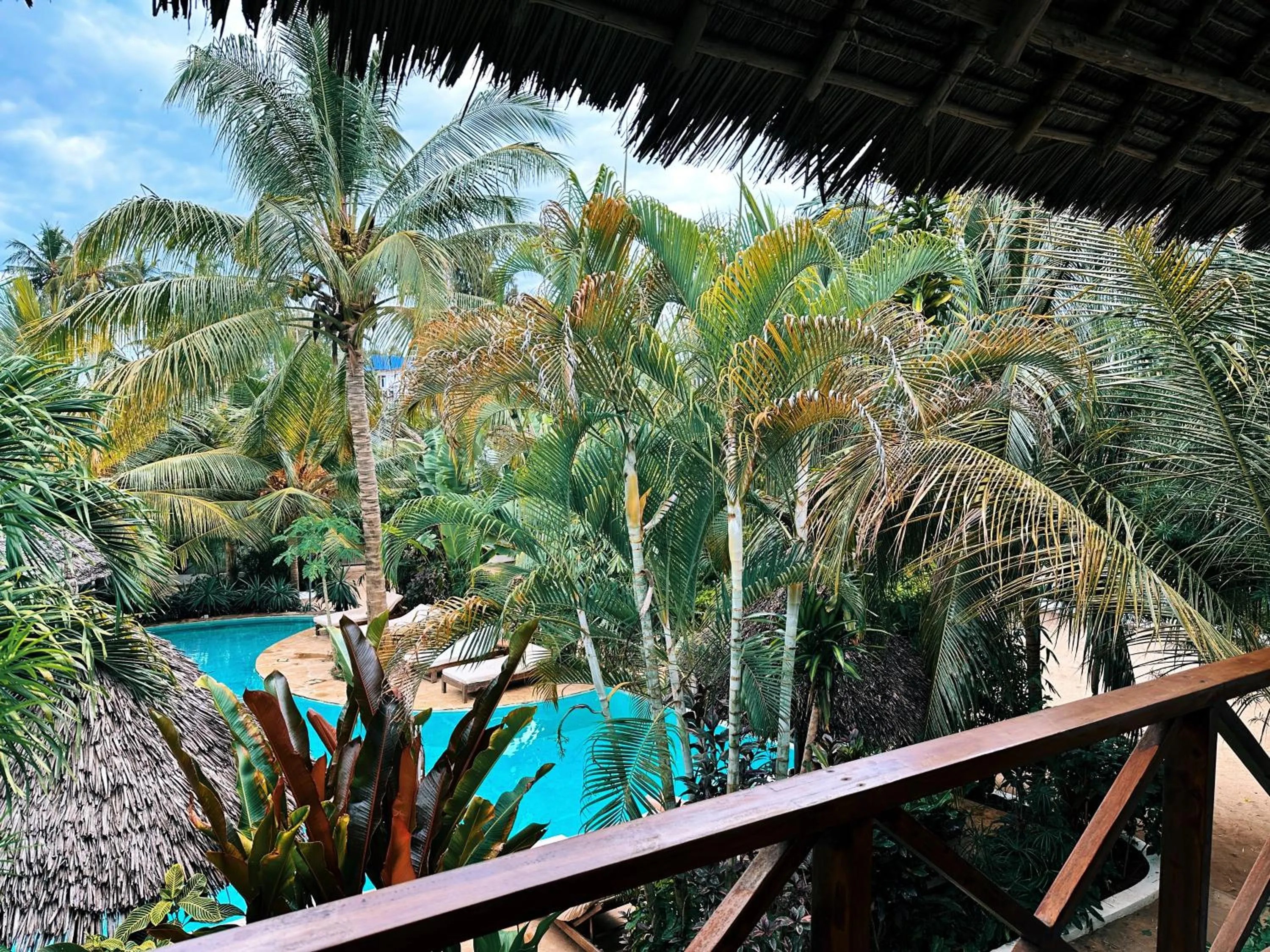 Pool view in Maisha Nungwi - Boutique Hotel