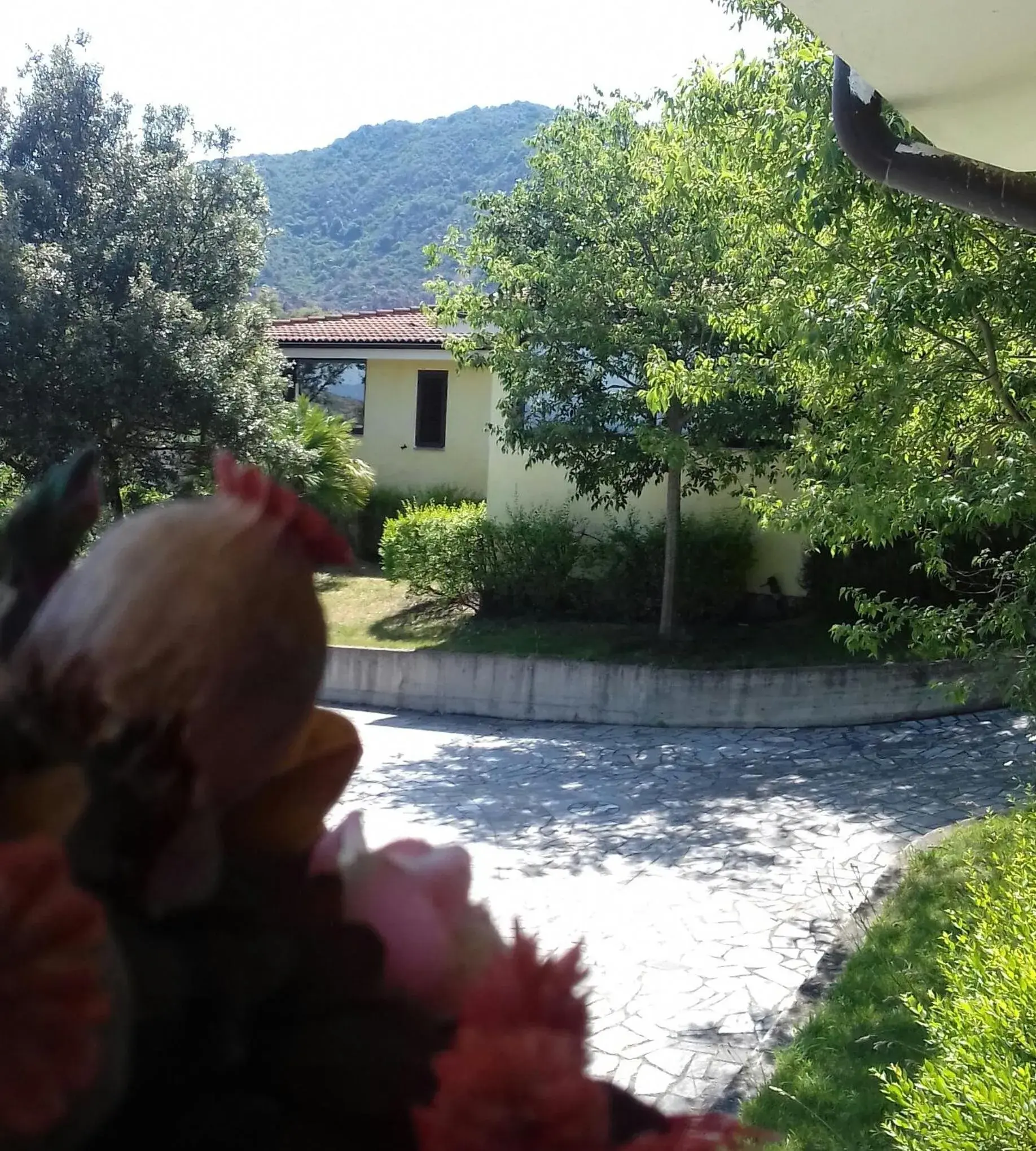 Case Vacanze Corongiu Case Vacanze Corongiu
