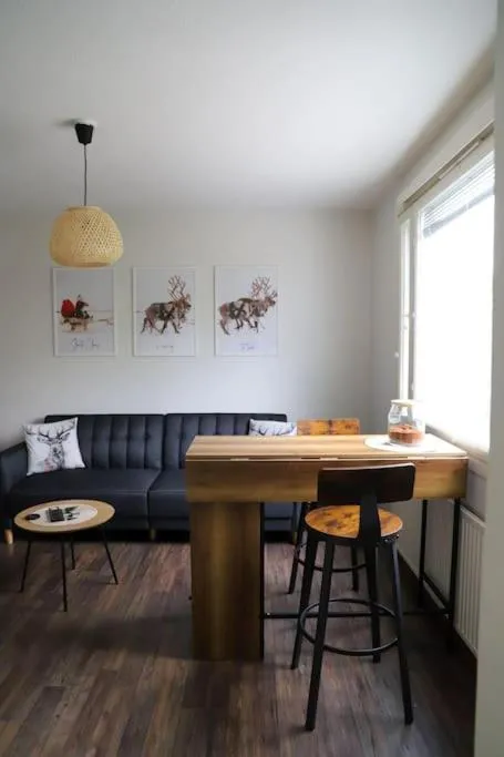 Rovaniemi City Centre Apartment