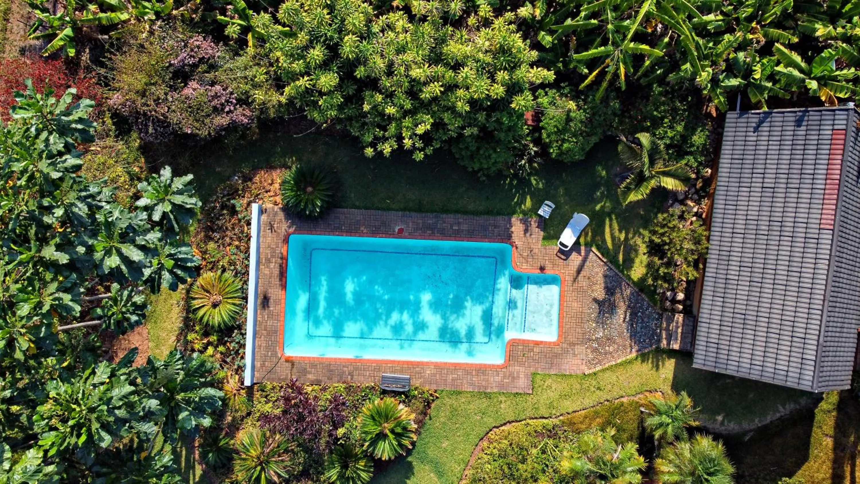 Garden in ilanda Guest House