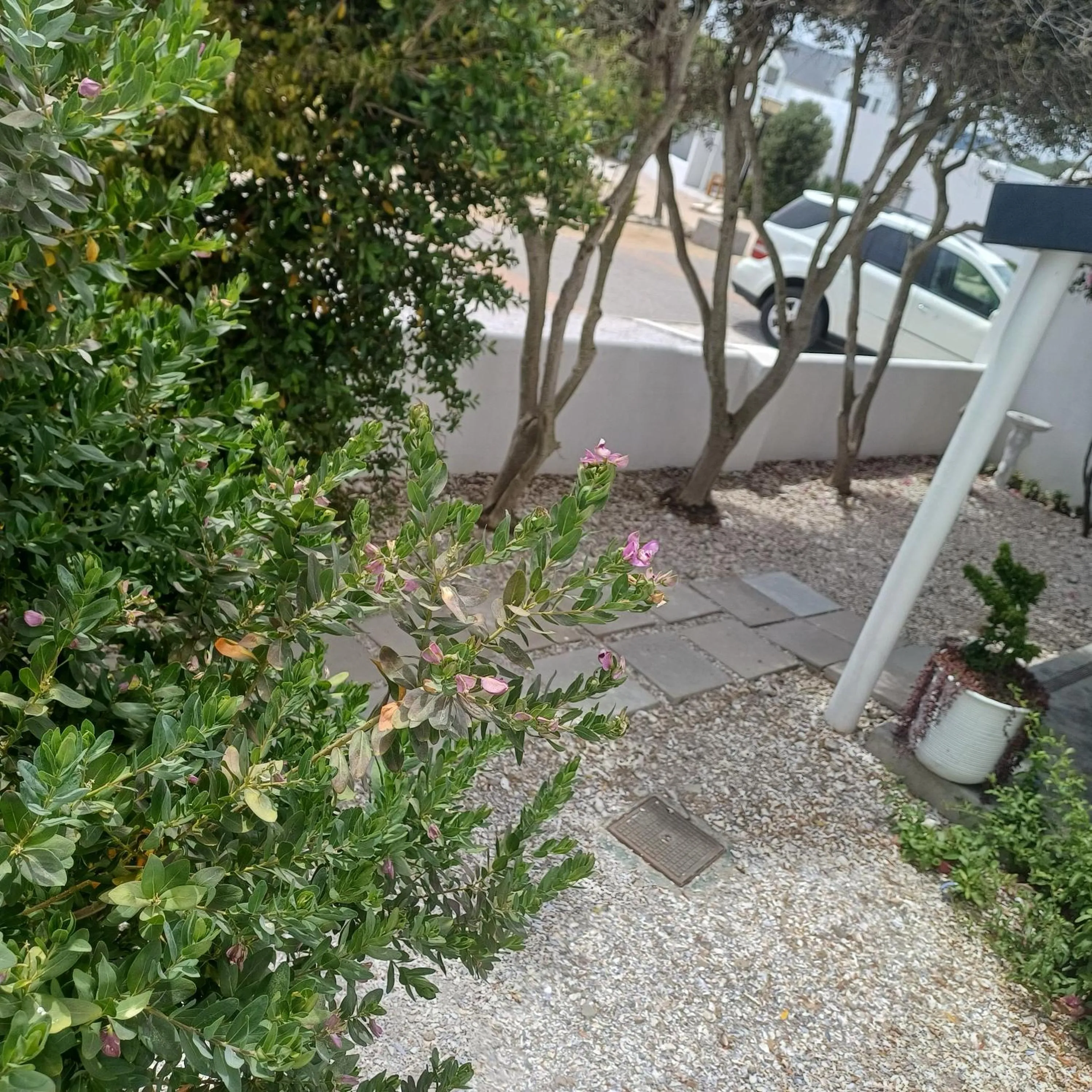 Garden view in Paternoster Place