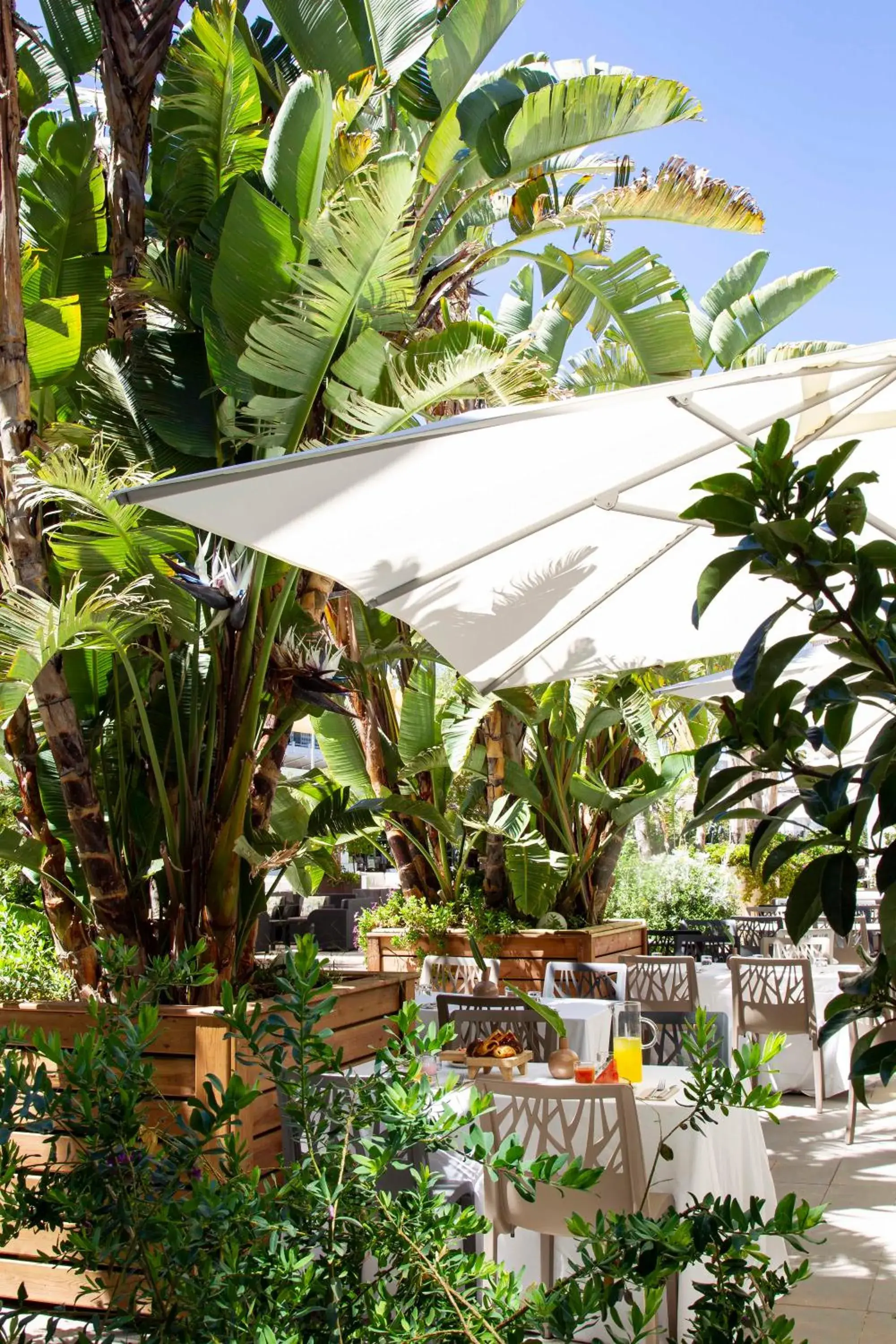 Restaurant/places to eat in Altafulla Mar Hotel Restaurant/places to eat in Altafulla Mar Hotel