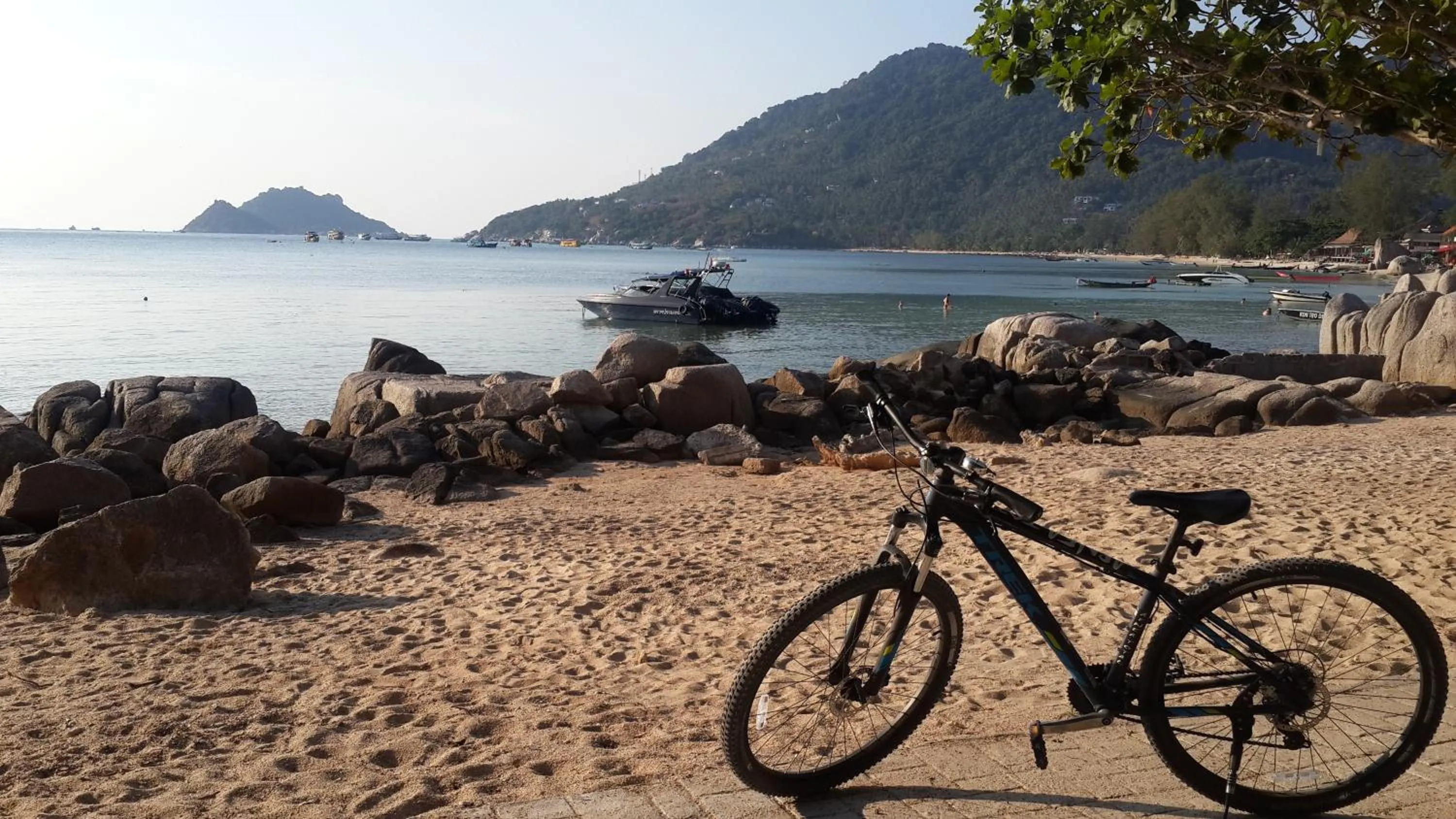 Neighbourhood in Woodlawn Villas Resort