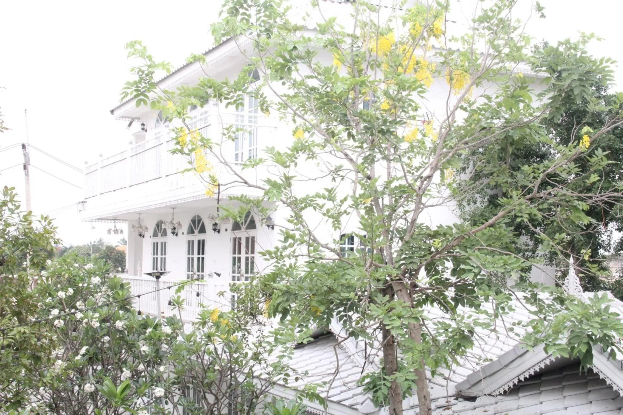 Bananaleaf Wedding Cafe & Resort