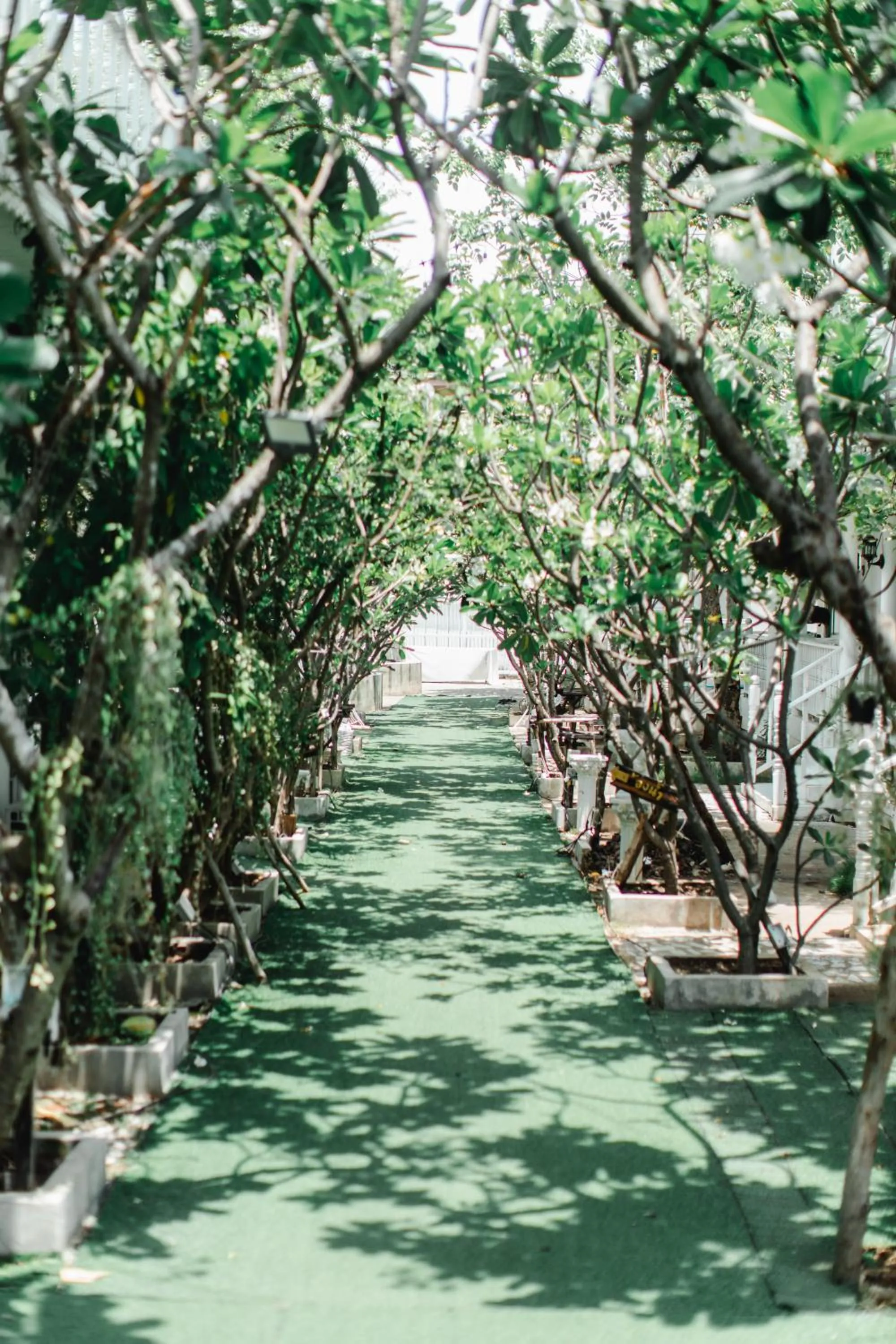 Bananaleaf Wedding Cafe & Resort