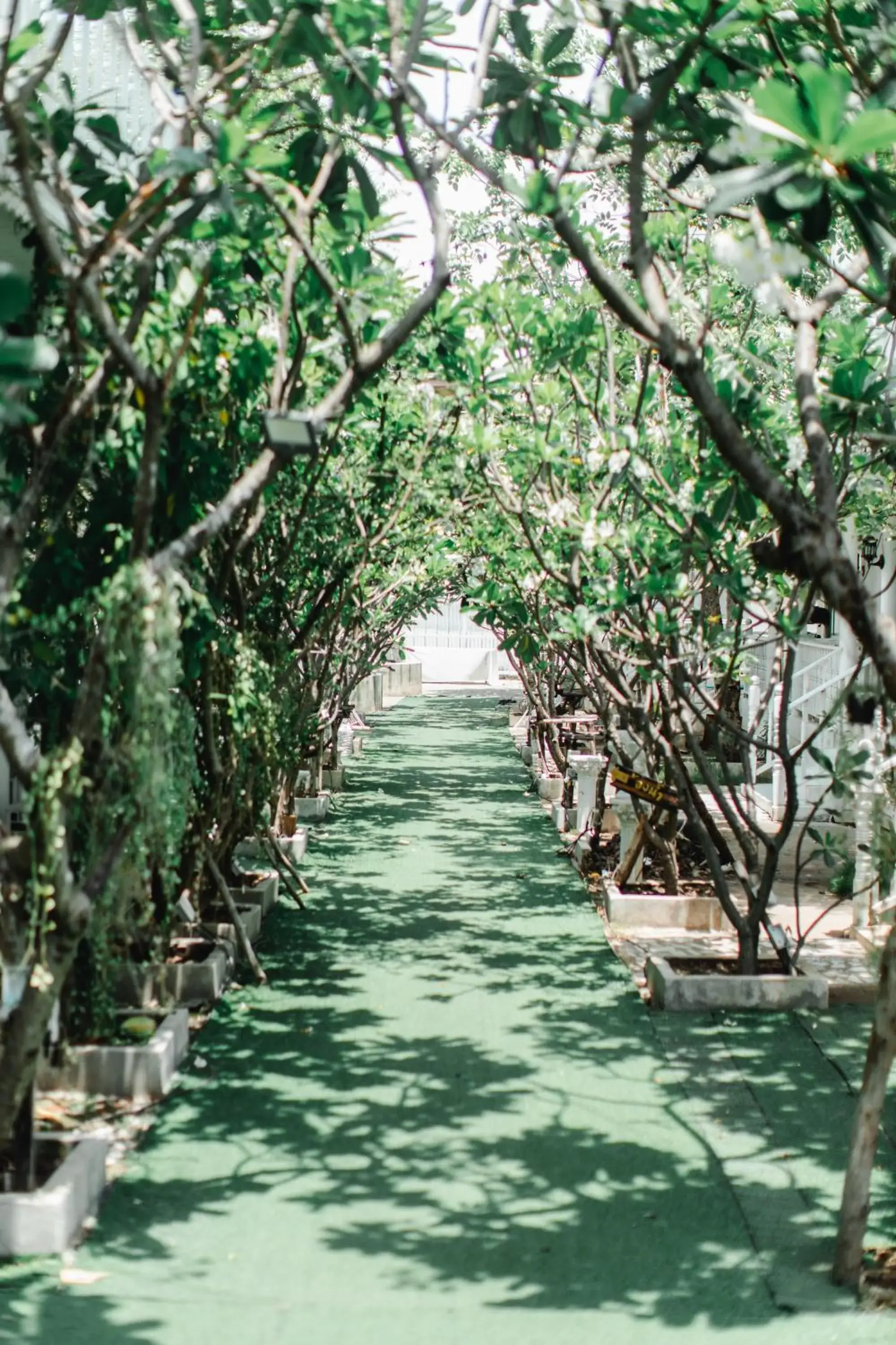 Bananaleaf Wedding Cafe & Resort Bananaleaf Wedding Cafe & Resort