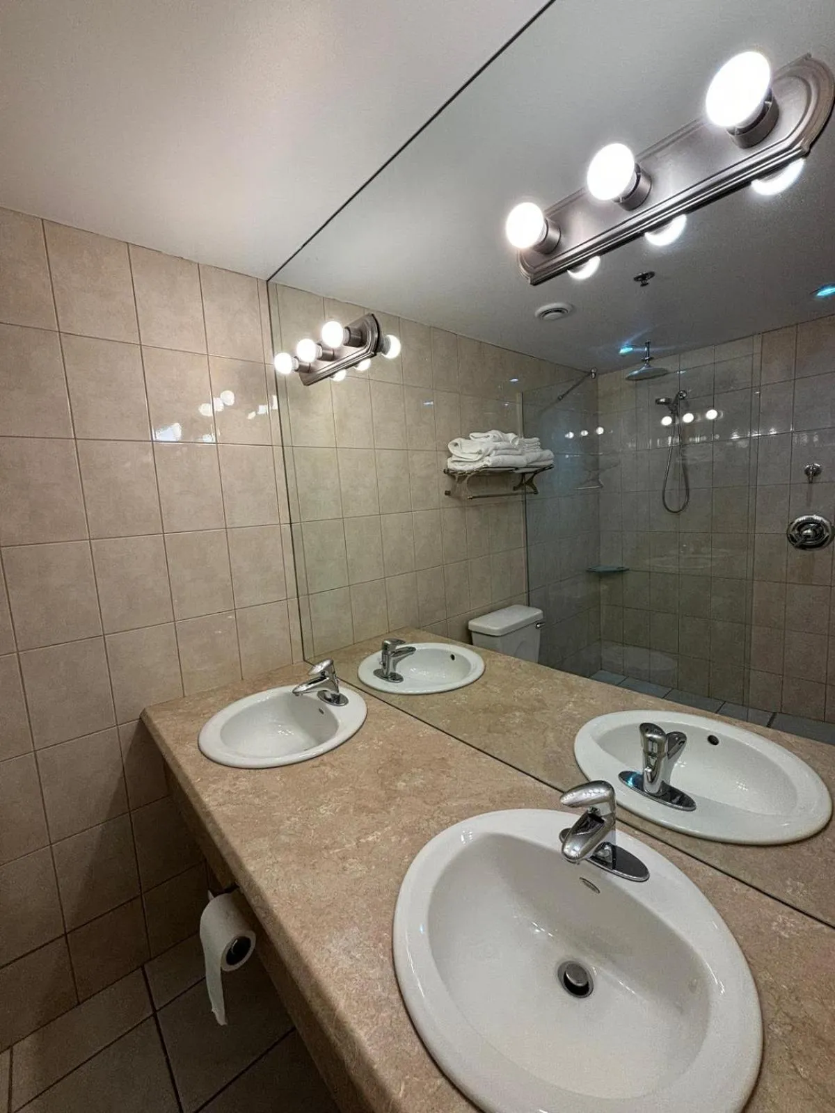 Bathroom in The Franklin Hotel
