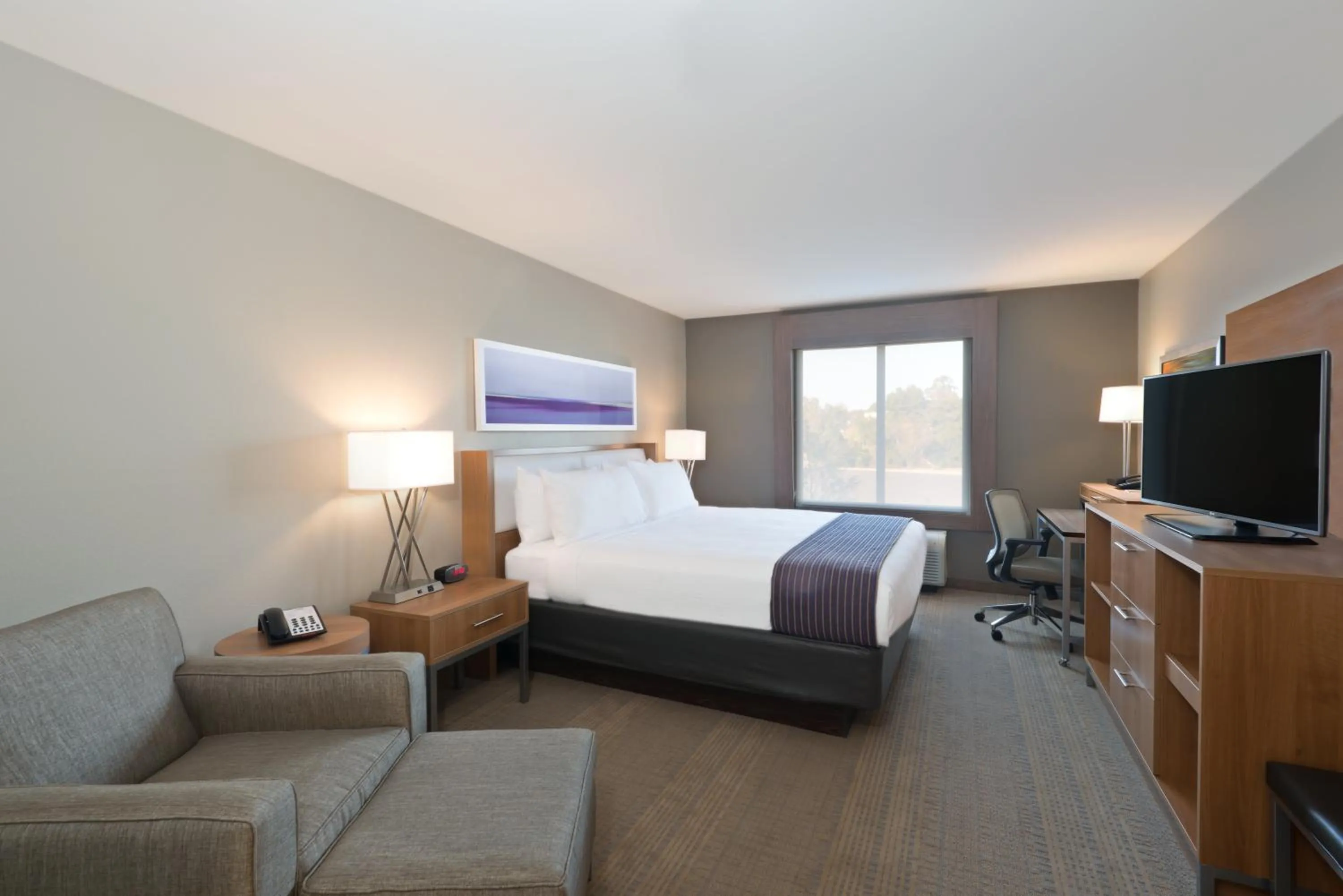 Photo of the whole room, Bed in Holiday Inn Express Hotel & Suites Hot Springs by IHG