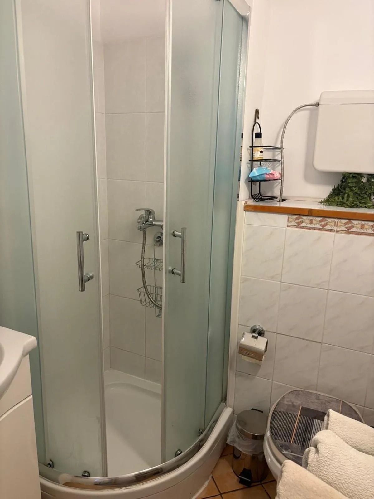 Shower in Apartments Sat