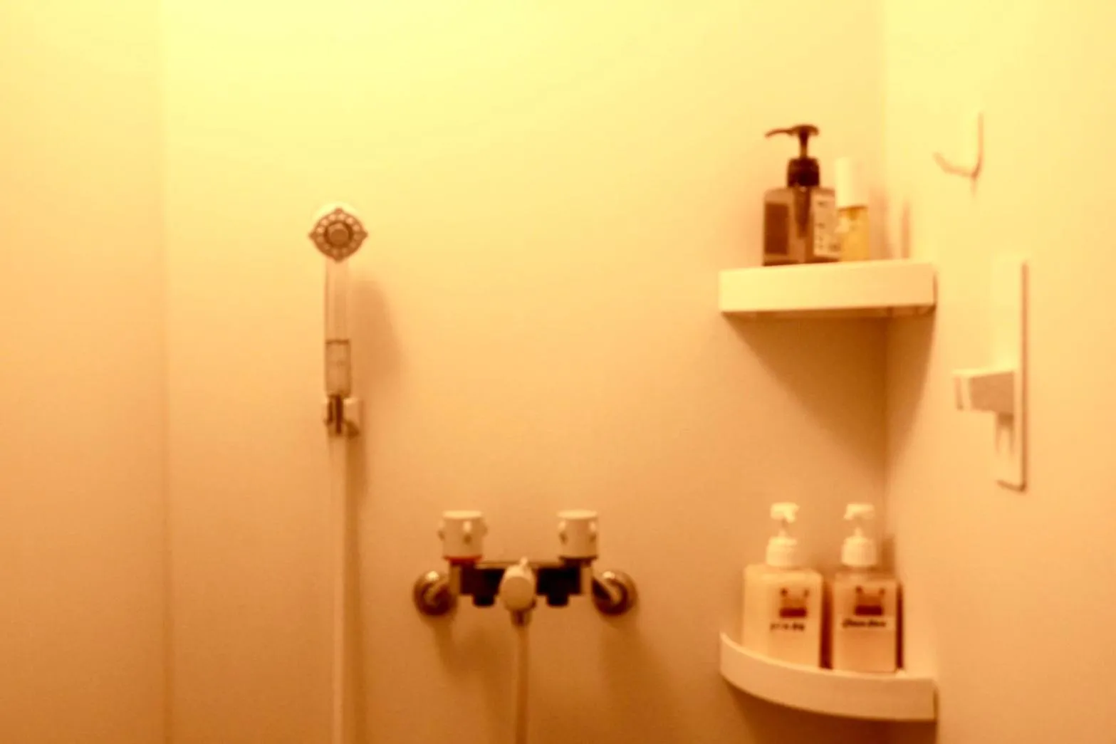 Bathroom in Guest house cocode