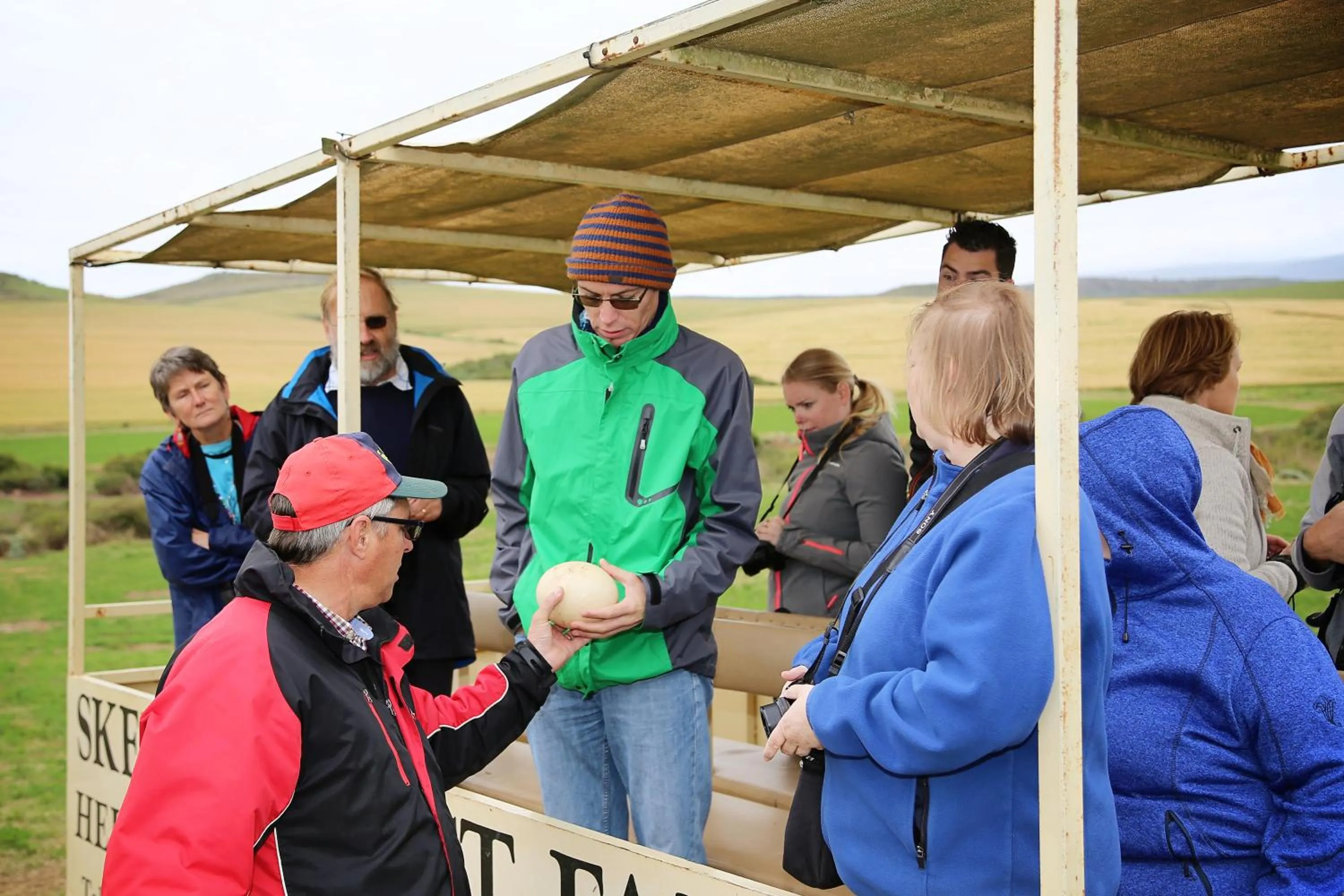 Activities in Skeiding Guest Farm