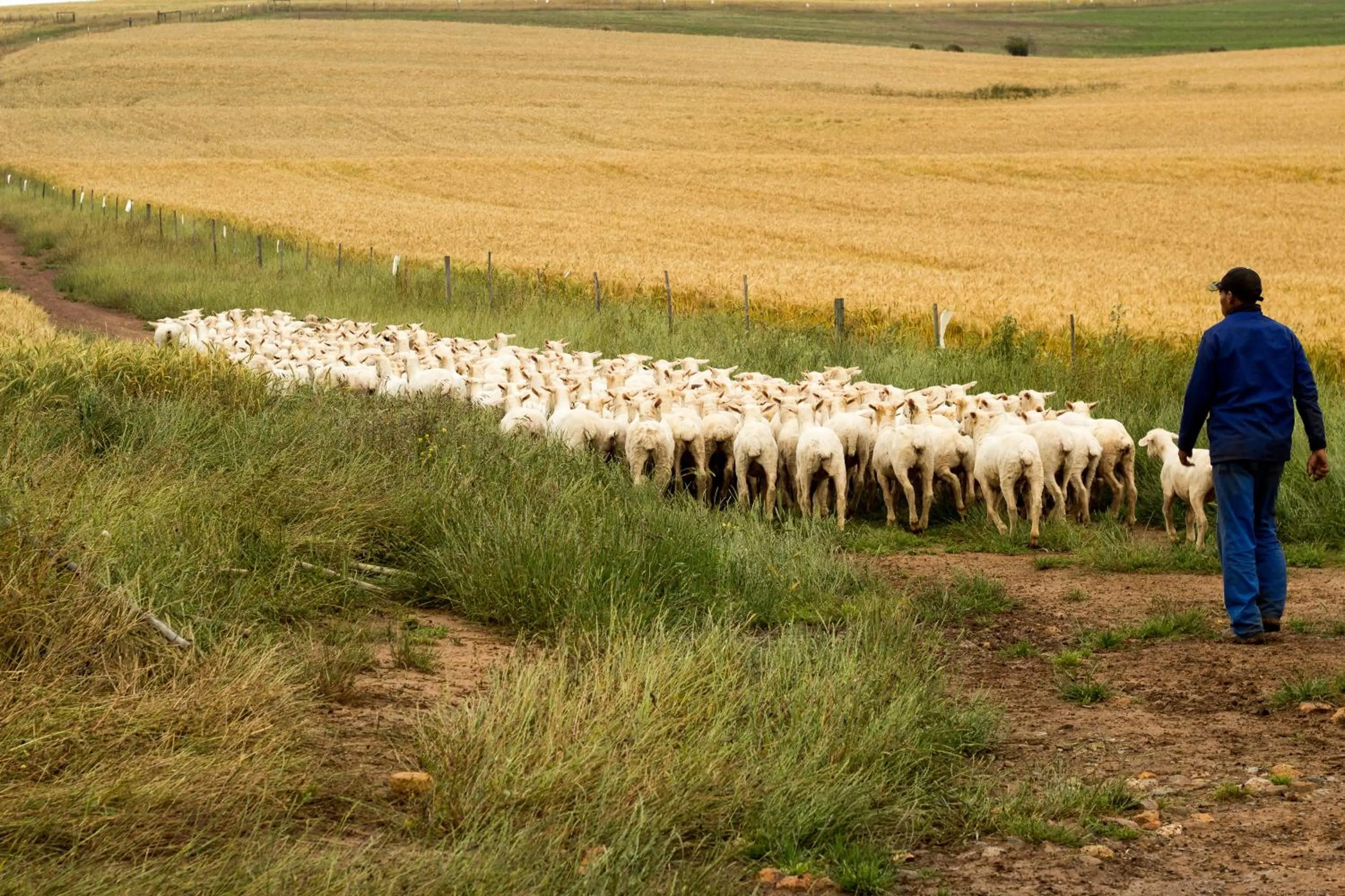 People in Skeiding Guest Farm