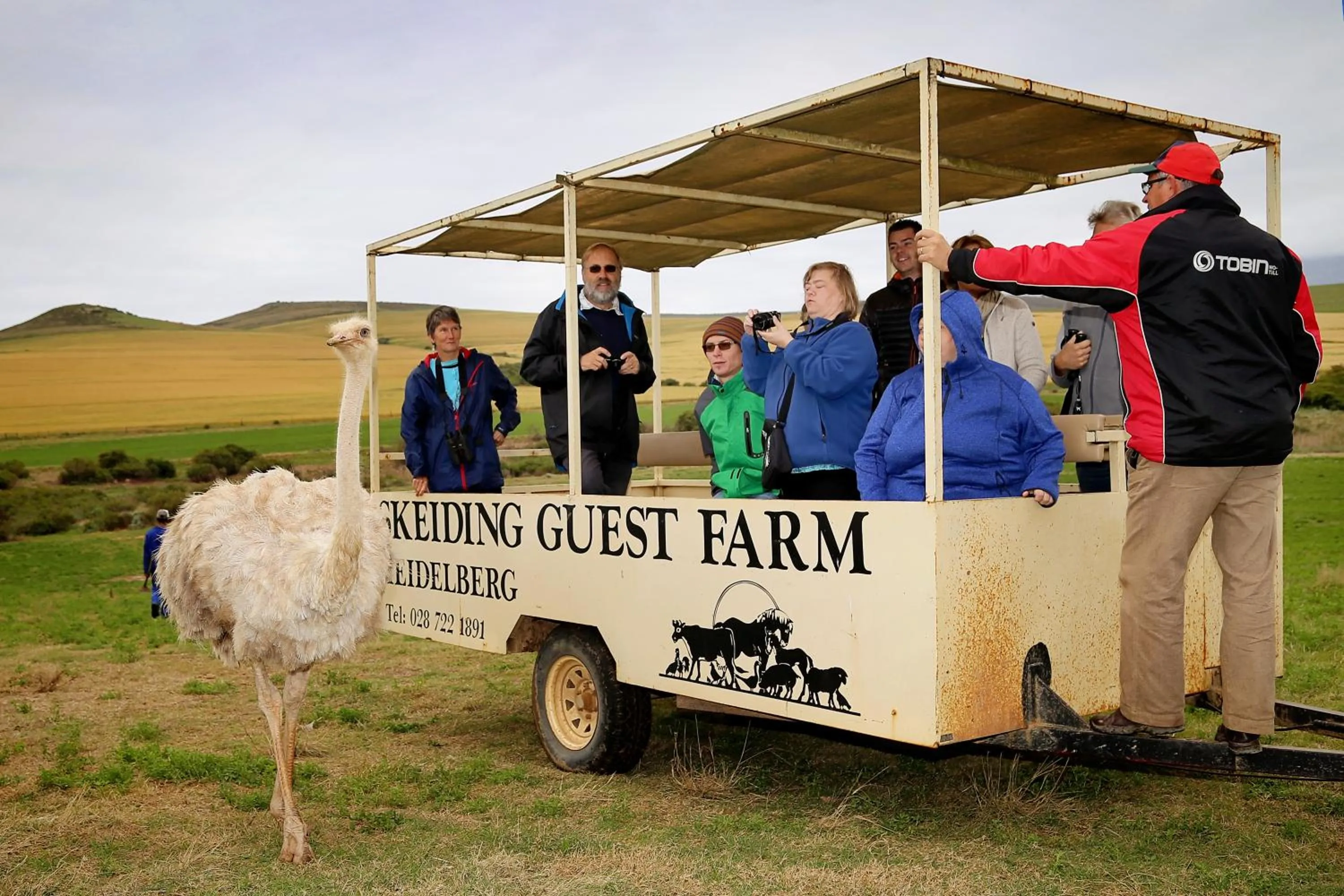 Other in Skeiding Guest Farm