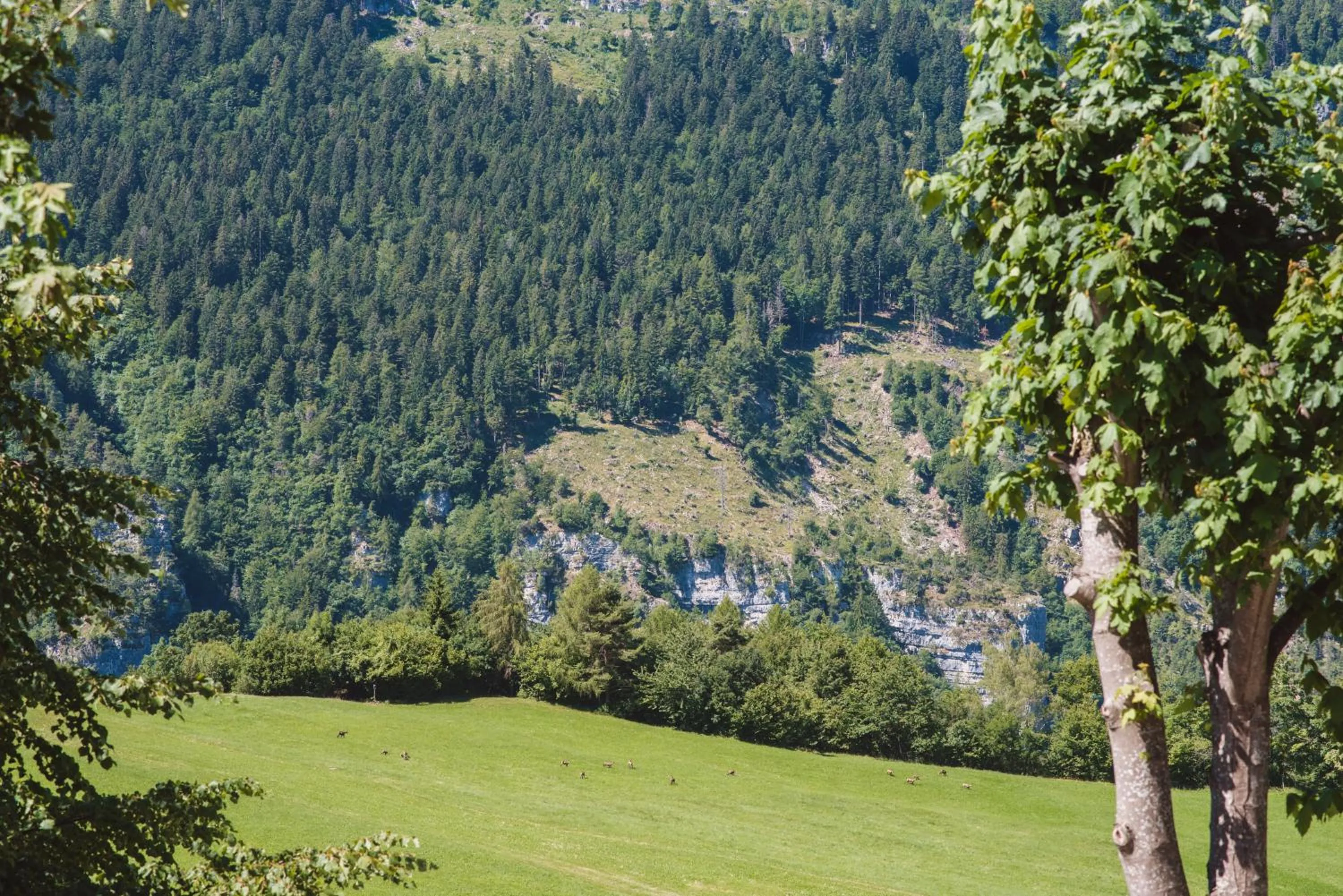 Hotel Mignon