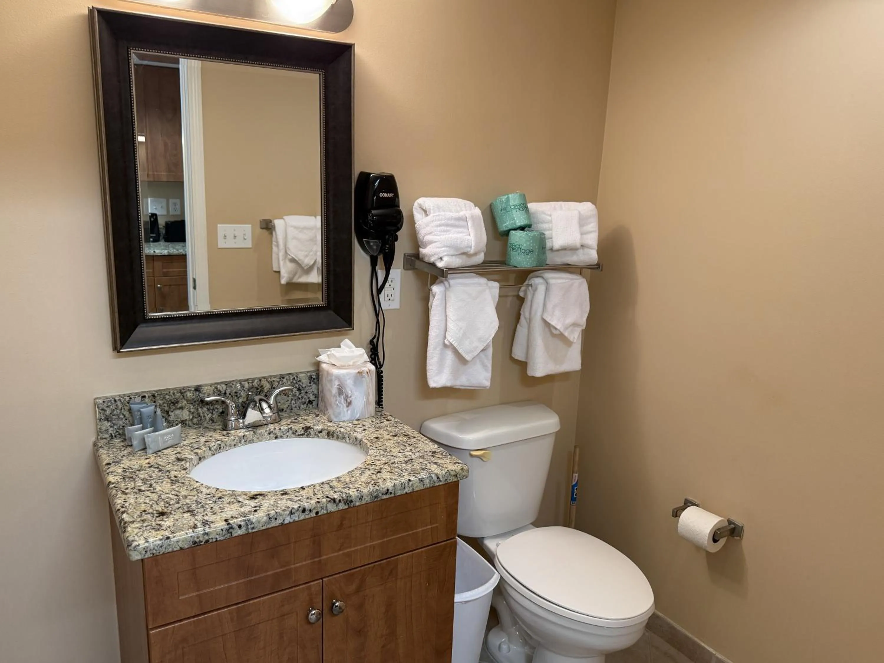 Bathroom in Towers at North Myrtle Beach
