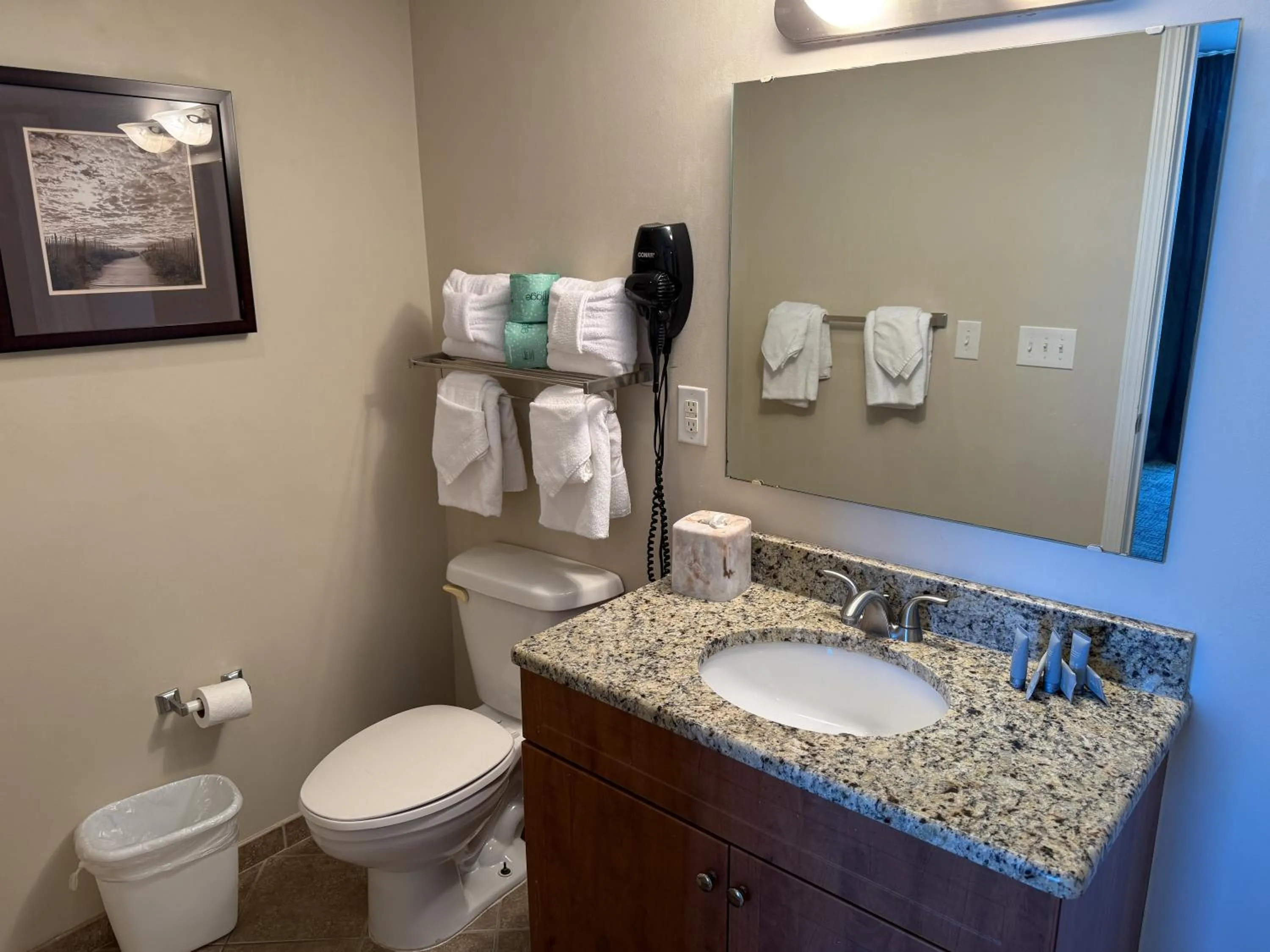 Bathroom in Towers at North Myrtle Beach