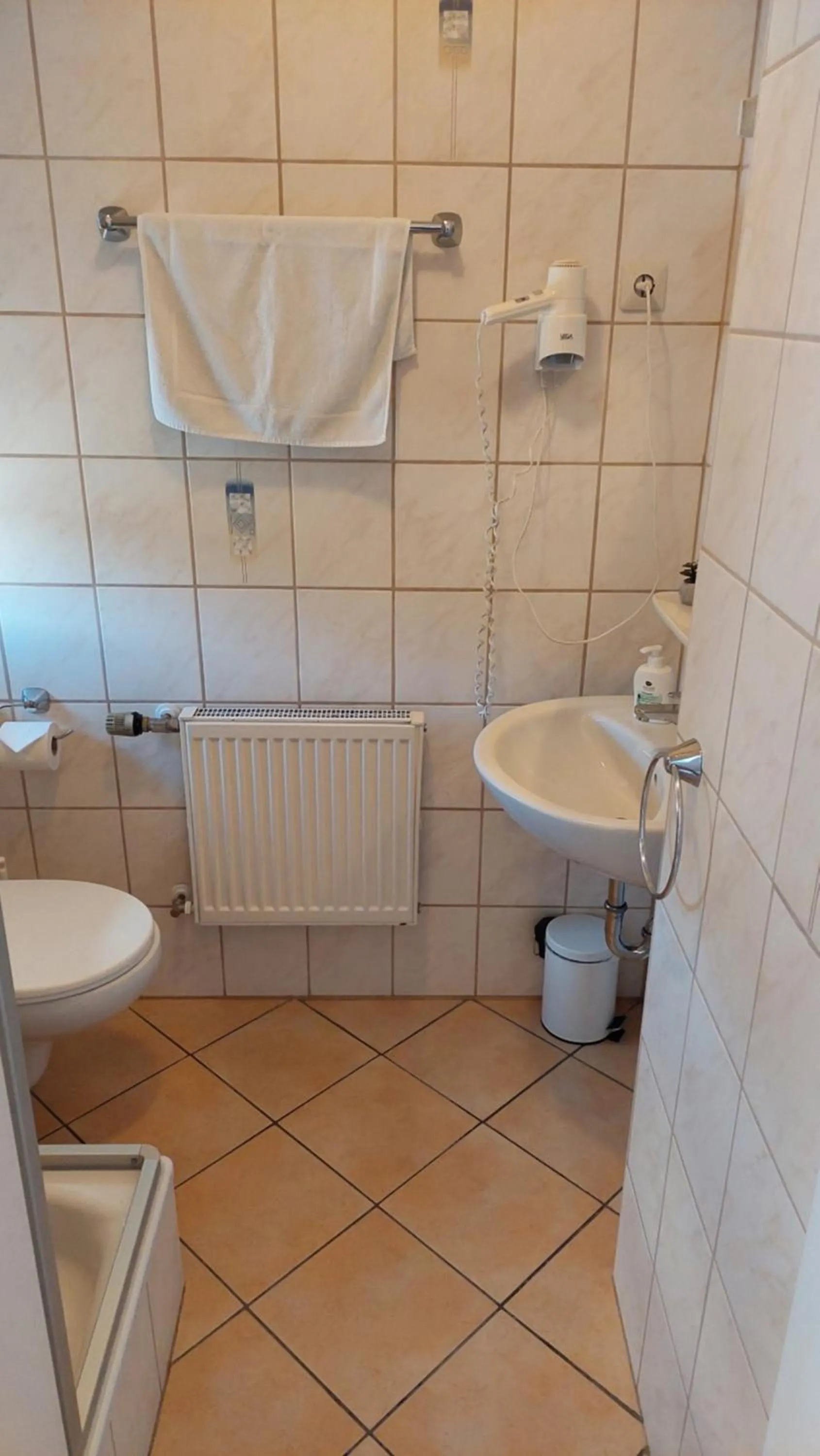 Shower in Pension Hendriks