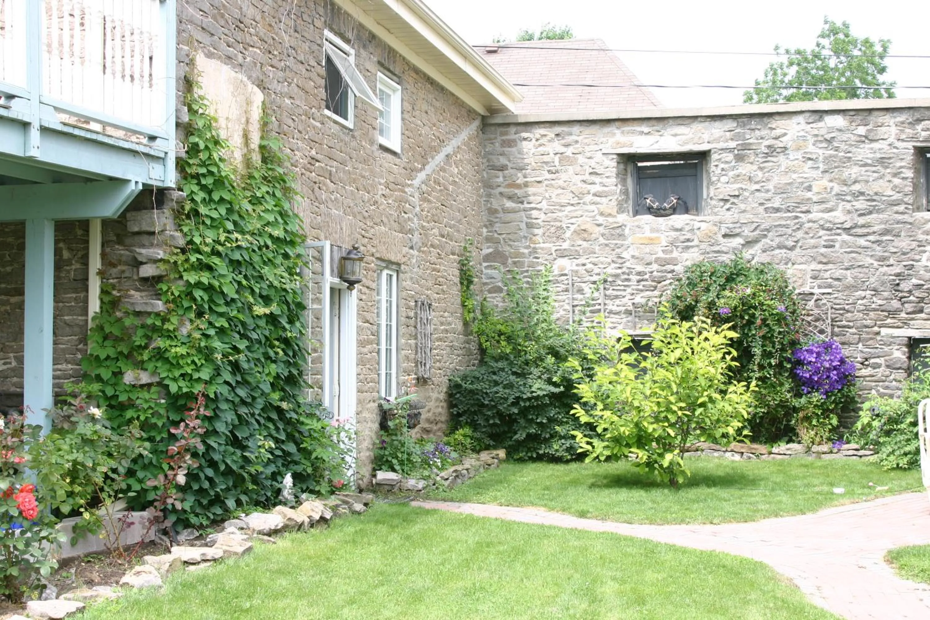 Garden in Noble Suites